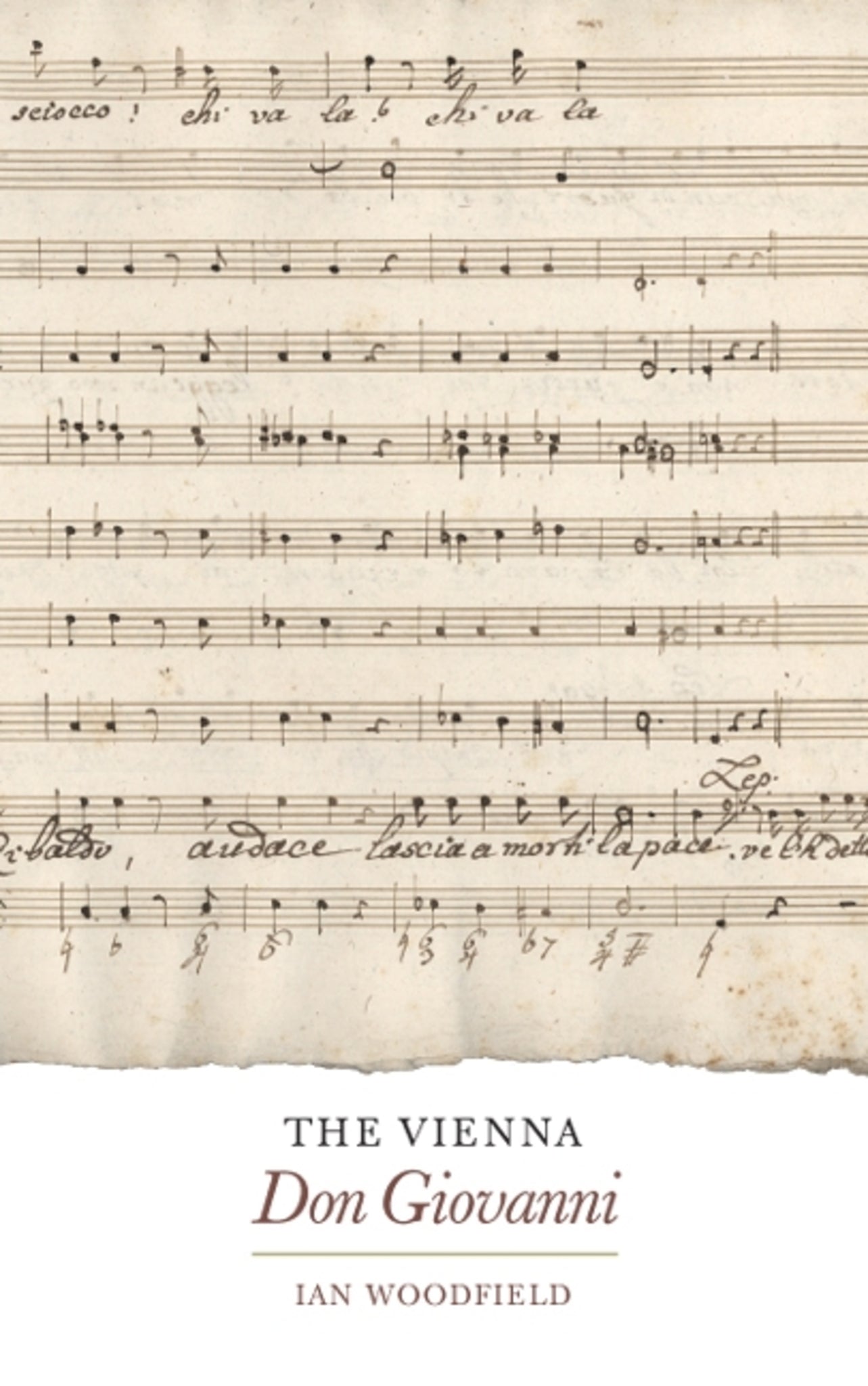 Cover image for The Vienna Don Giovanni ISBN 9781843835868