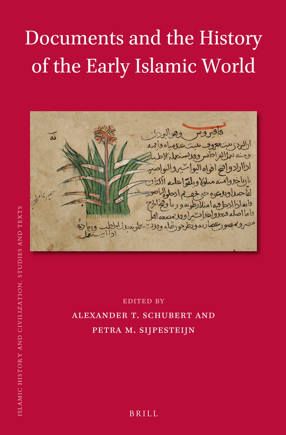 Cover image for Documents and the History of the Early Islamic World ISBN 9789004249592