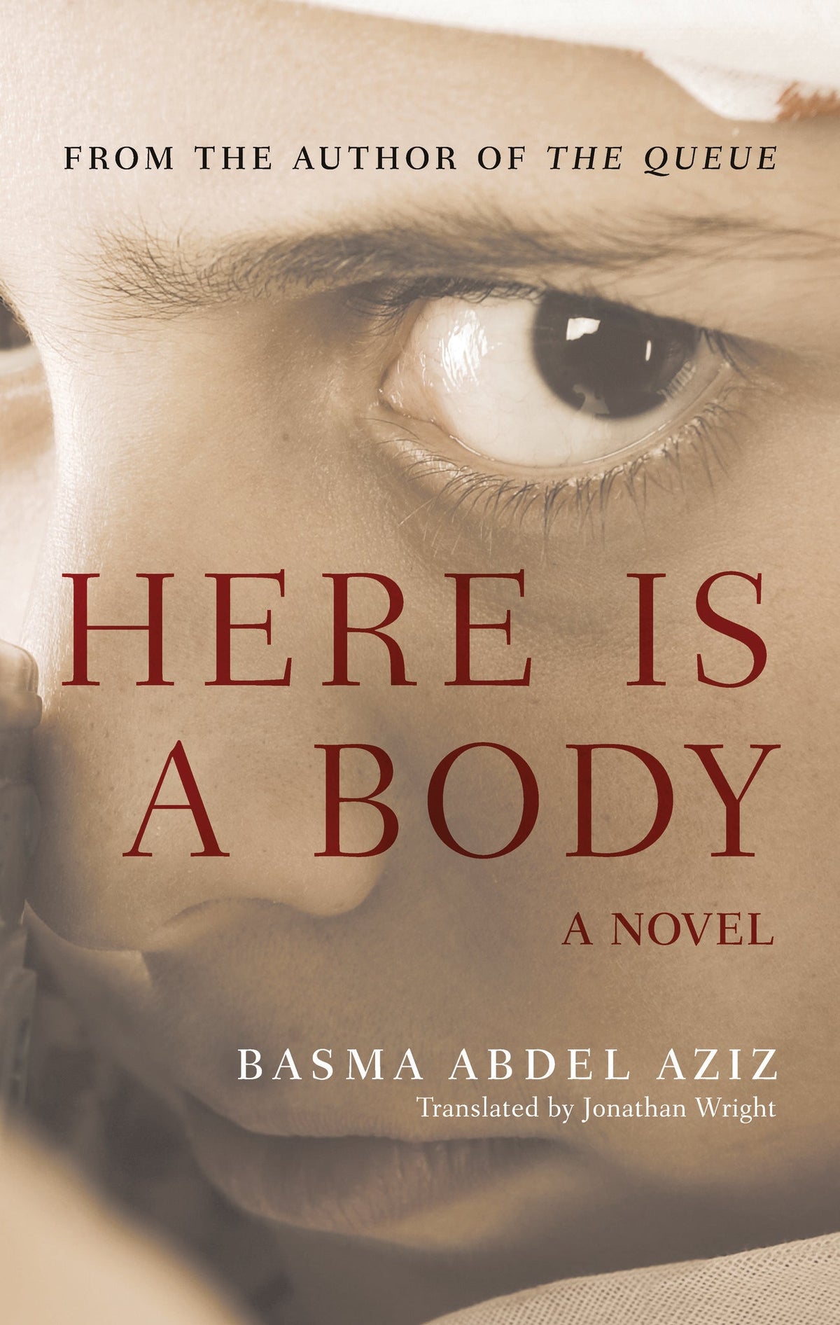 Cover image for Here Is a Body: ISBN 9781649030825