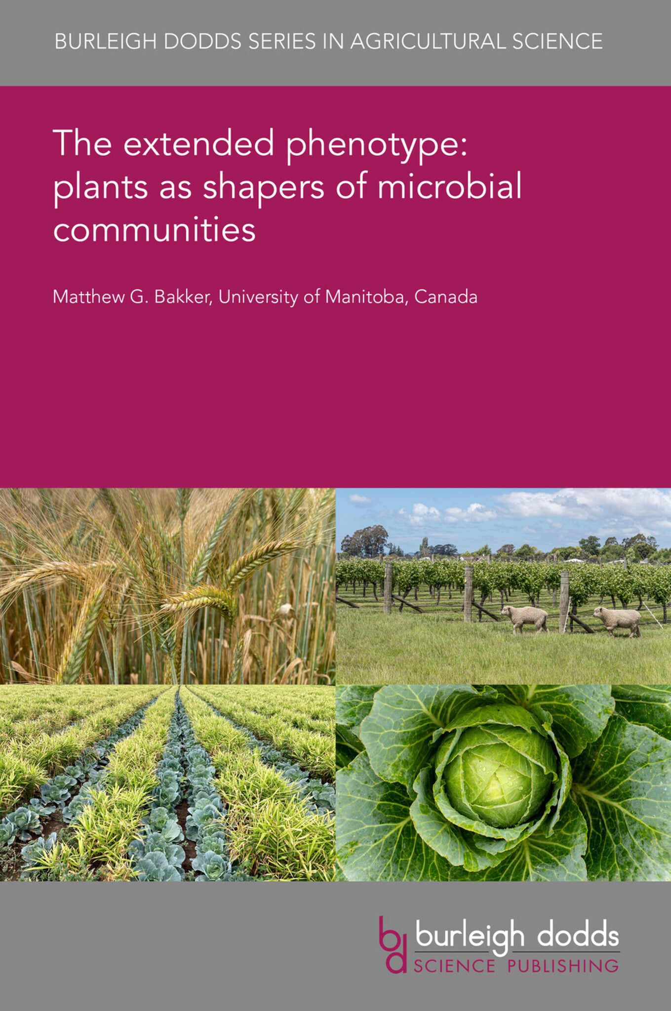 Cover image for The extended phenotype in agroecology: how do plants shape communities of related organisms? ISBN 9781835451922