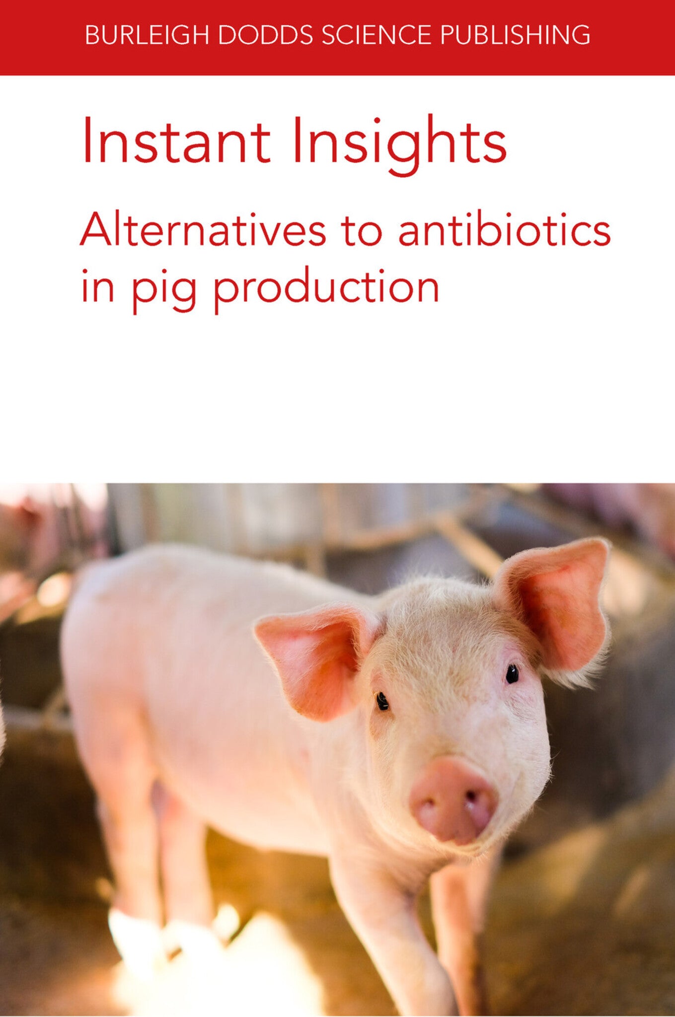Cover image for Instant Insights: Alternatives to antibiotics in pig production ISBN 9781801460866