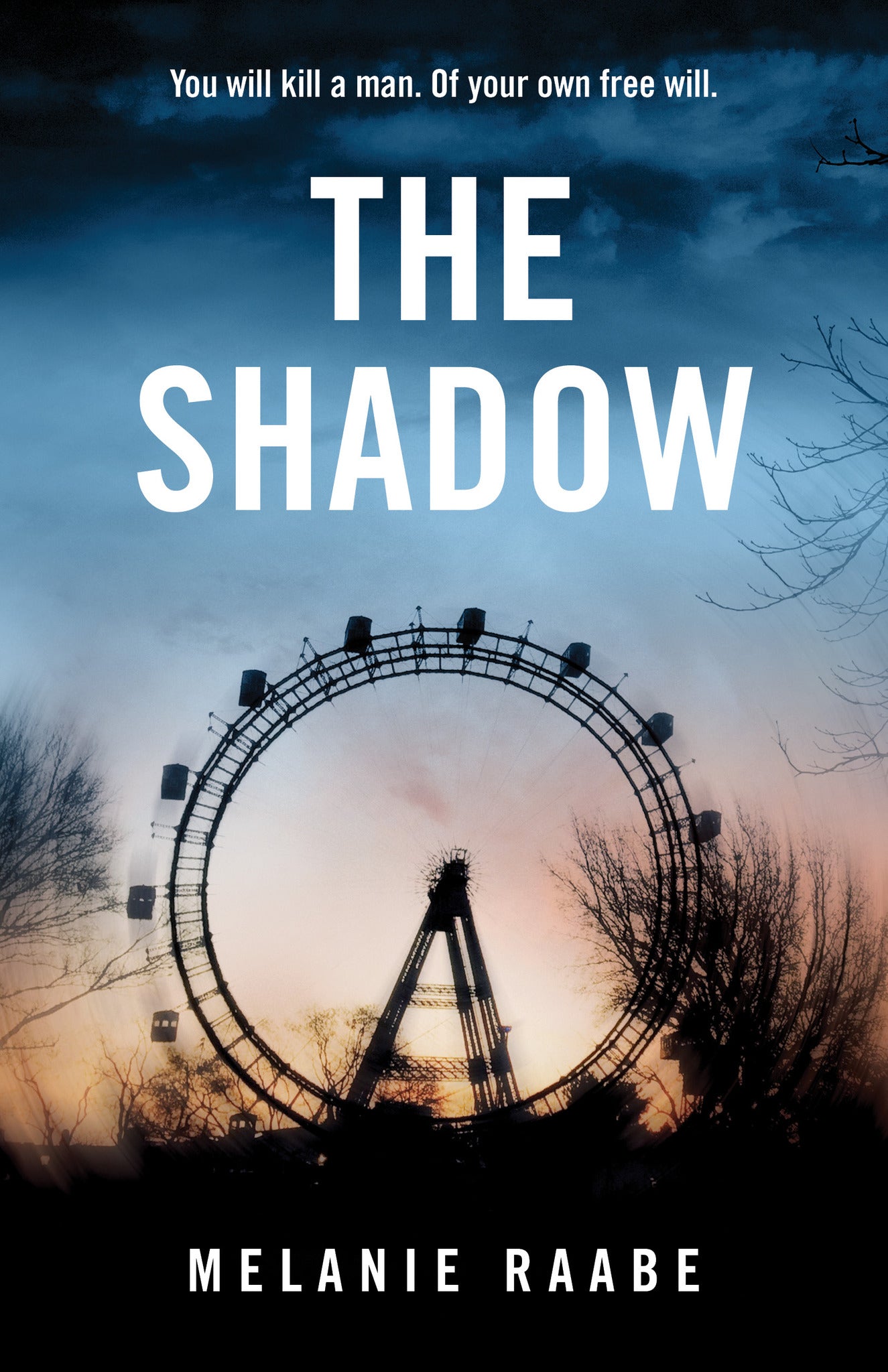 Cover image for The Shadow ISBN 9781487008635