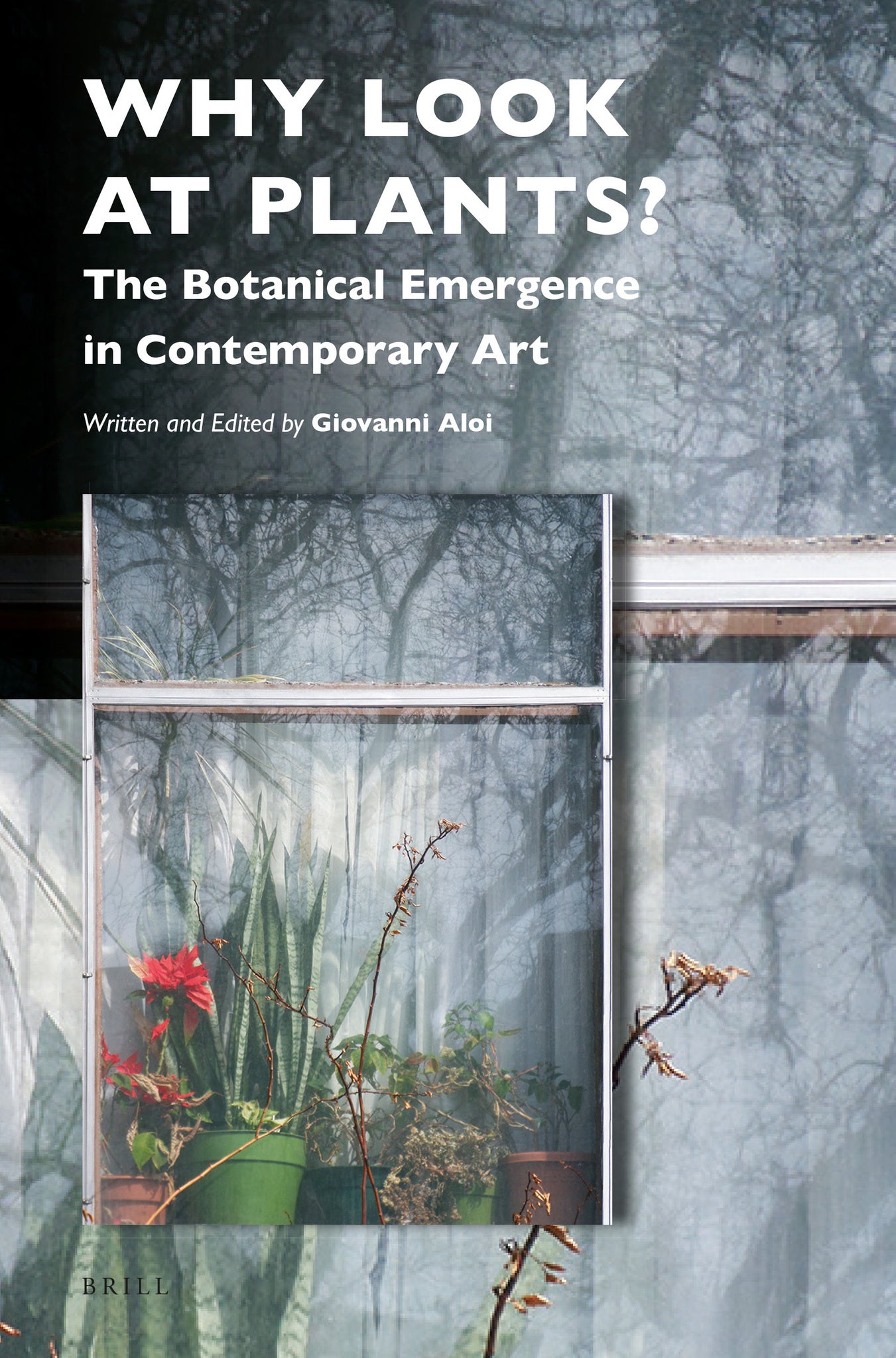 Cover image for Why Look at Plants? ISBN 9789004409583
