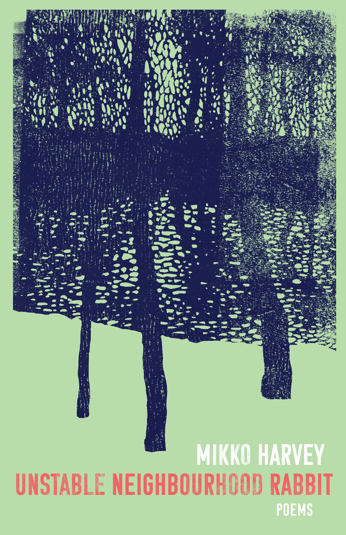 Cover image for Unstable Neighbourhood Rabbit ISBN 9781487003609