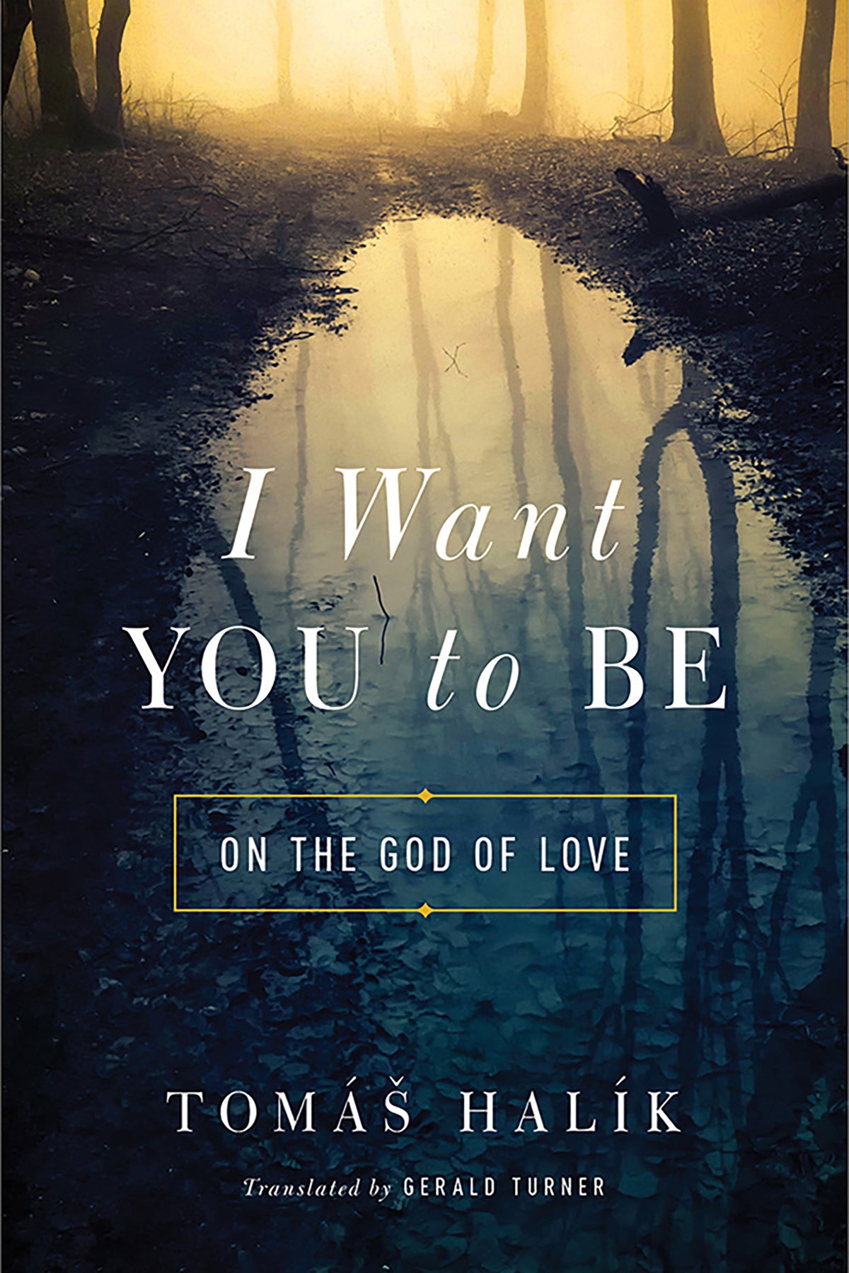 Cover image for I Want You to Be ISBN 9780268100735
