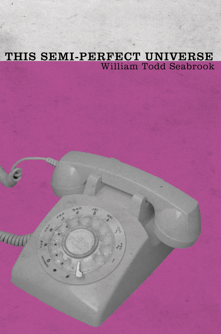 Cover image for This Semi-Perfect Universe ISBN 9781938604867