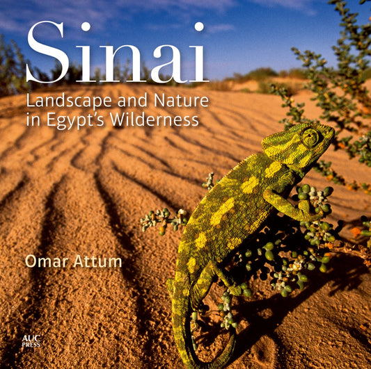 Sinai