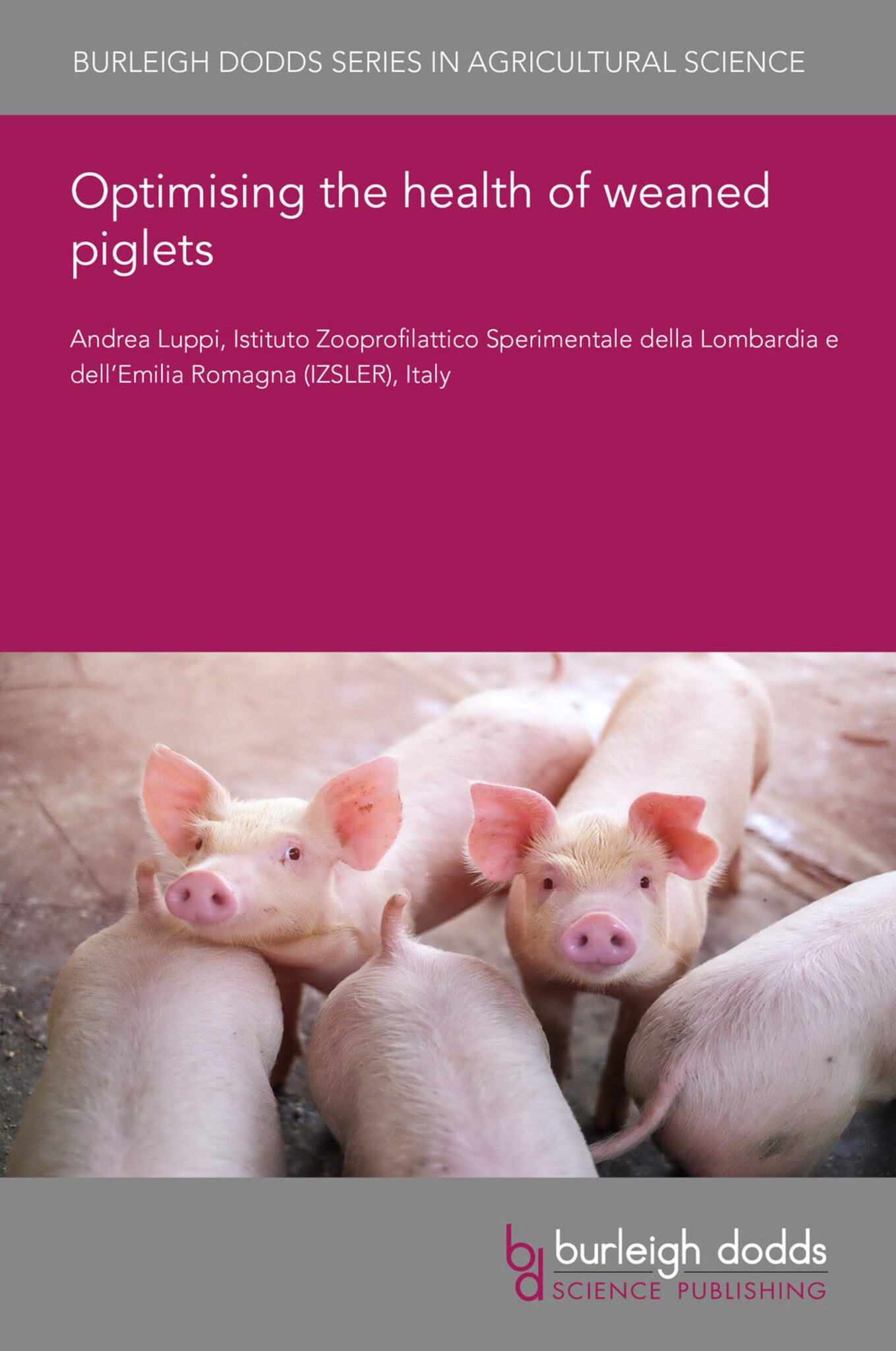 Cover image for Optimising the health of weaned piglets ISBN 9781801464291