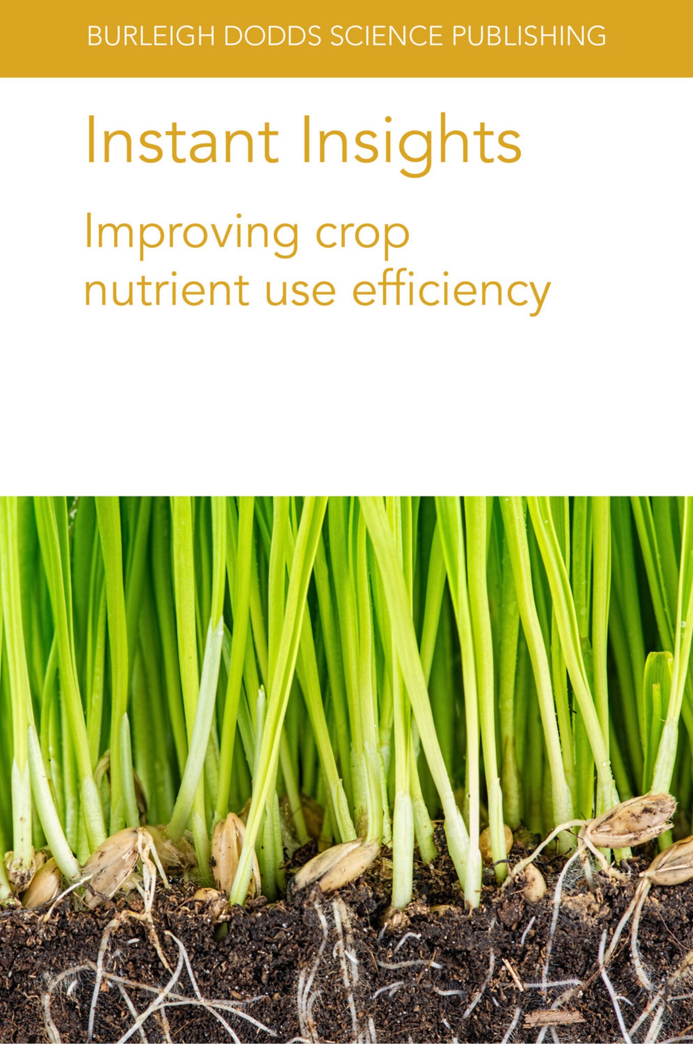 Cover image for Instant Insights: Improving crop nutrient use efficiency ISBN 9781801461122