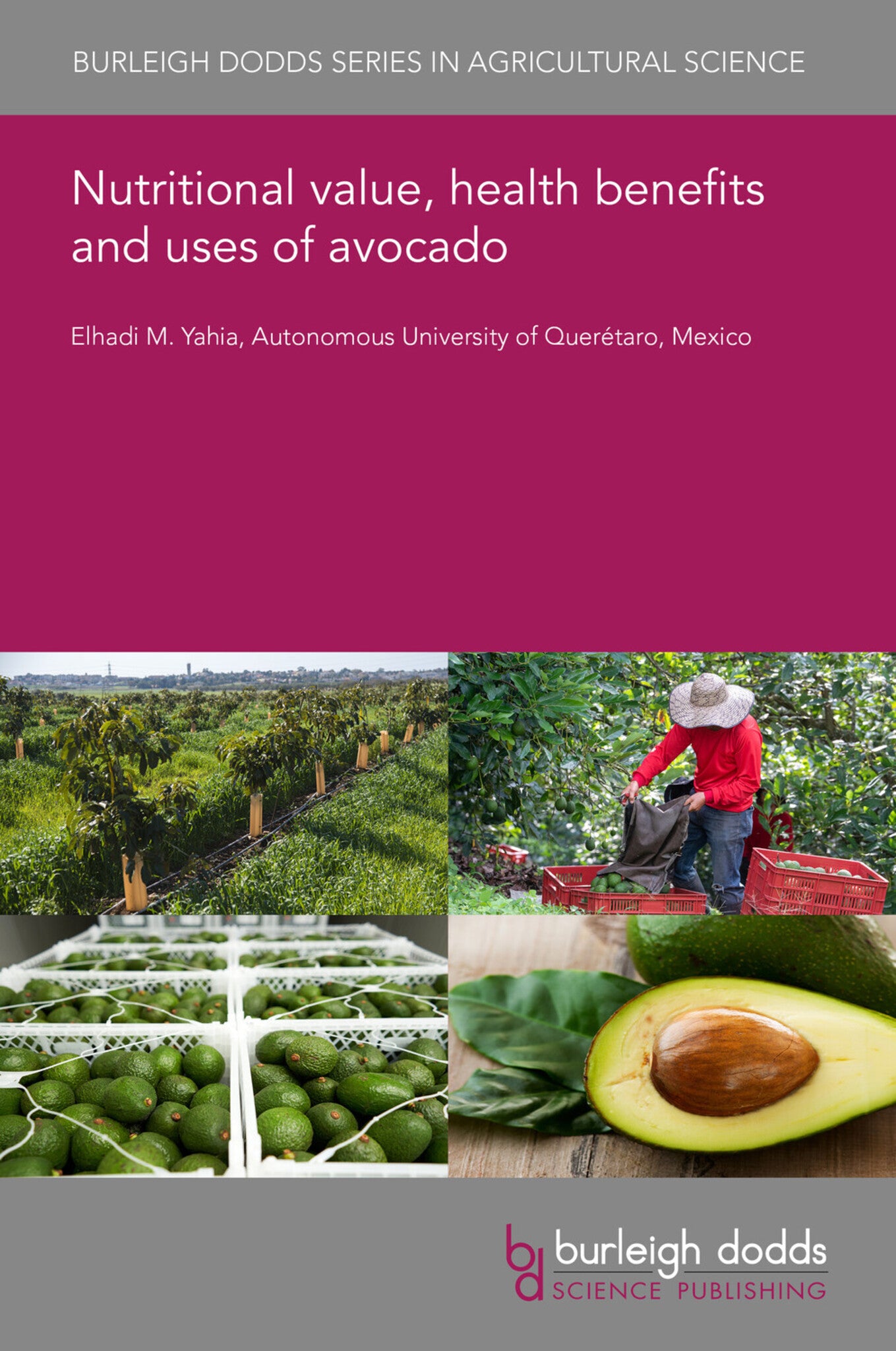 Cover image for Nutritional value, health benefits and uses of avocado ISBN 9781801468244