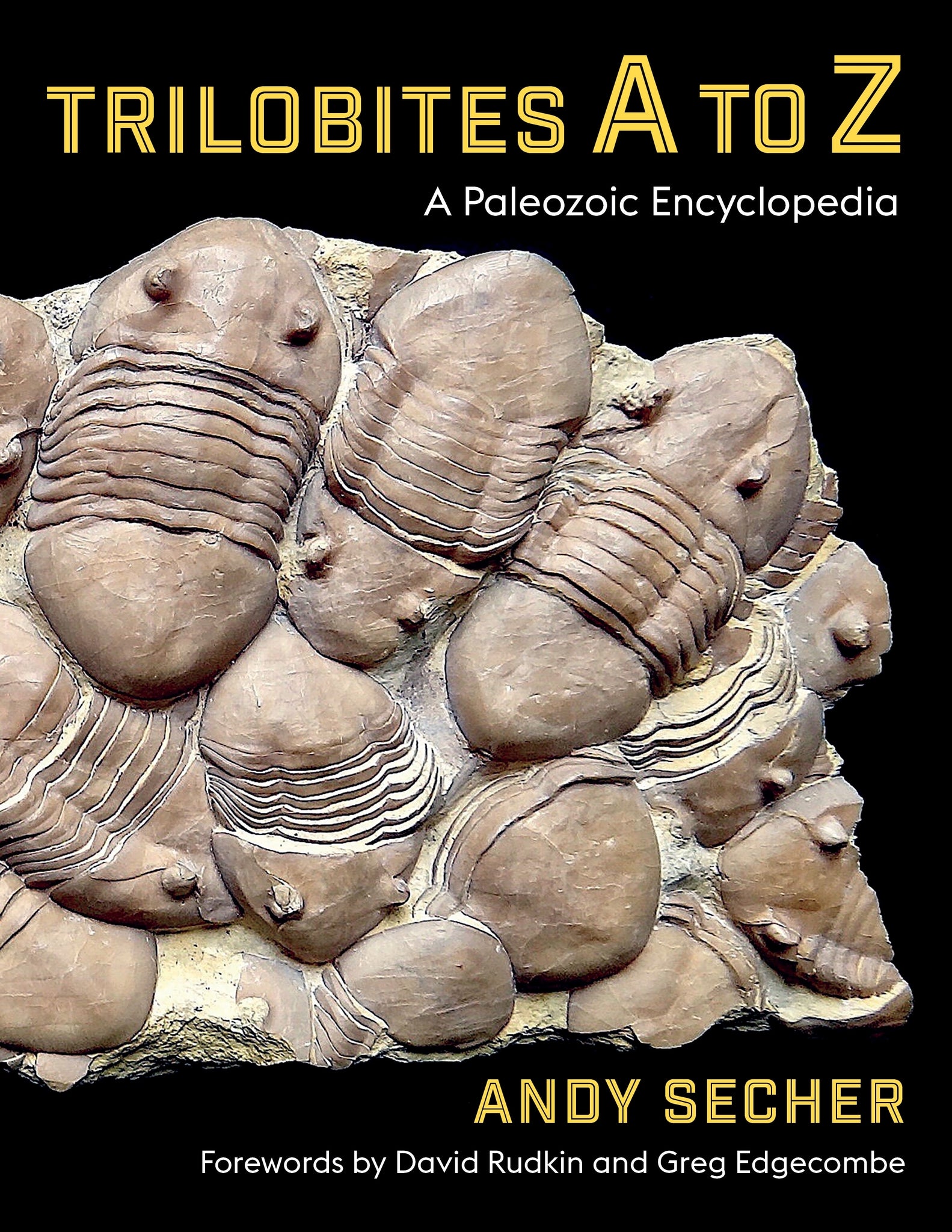 Cover image for Trilobites A to Z ISBN 9780231223300