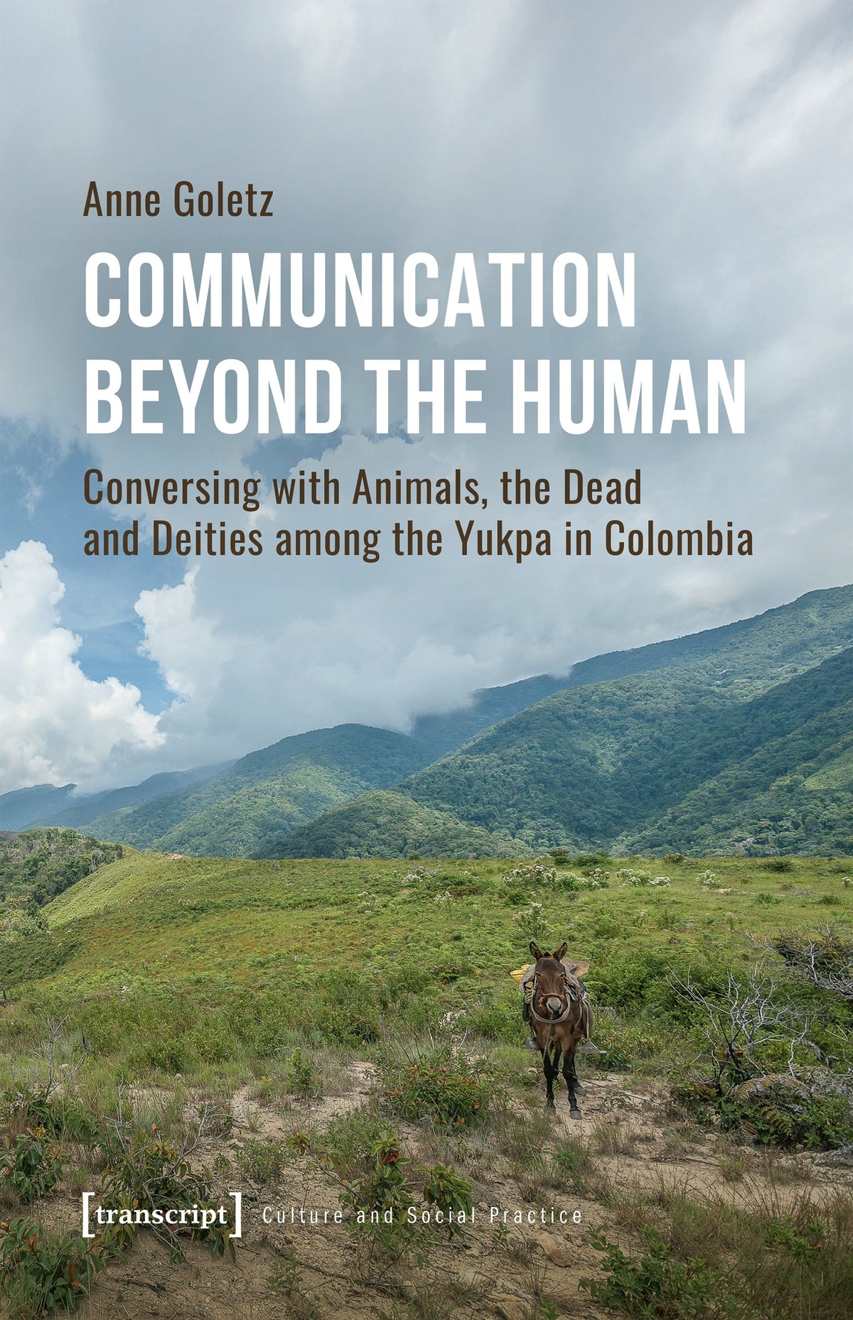 Cover image for Communication Beyond the Human ISBN 9783837677799