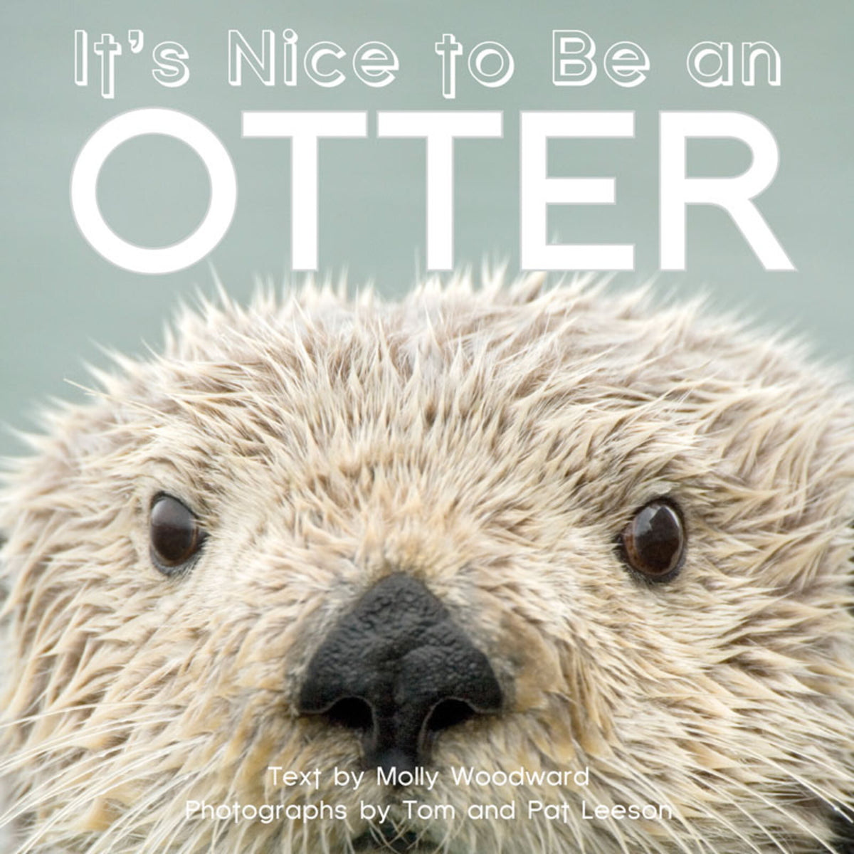 Cover image for It's Nice to Be an Otter ISBN 9781597143356