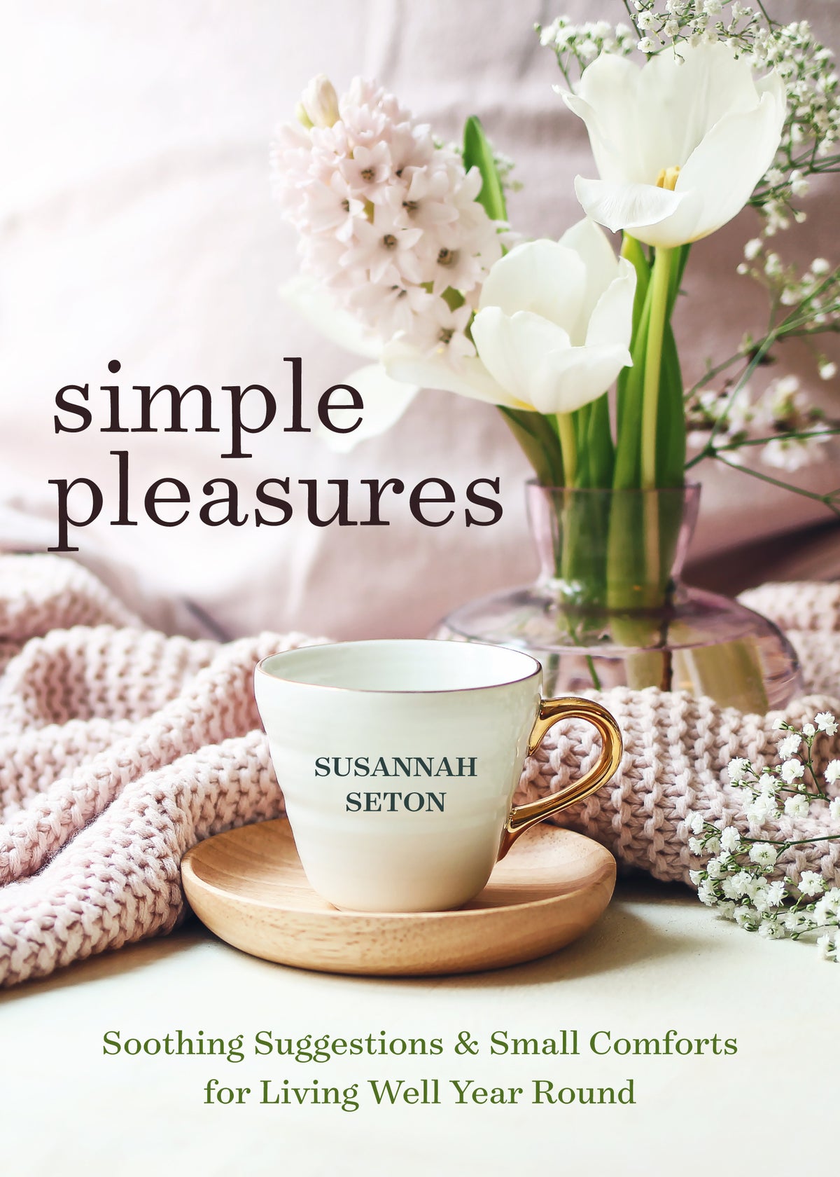 Cover image for Simple Pleasures ISBN 9781642508796