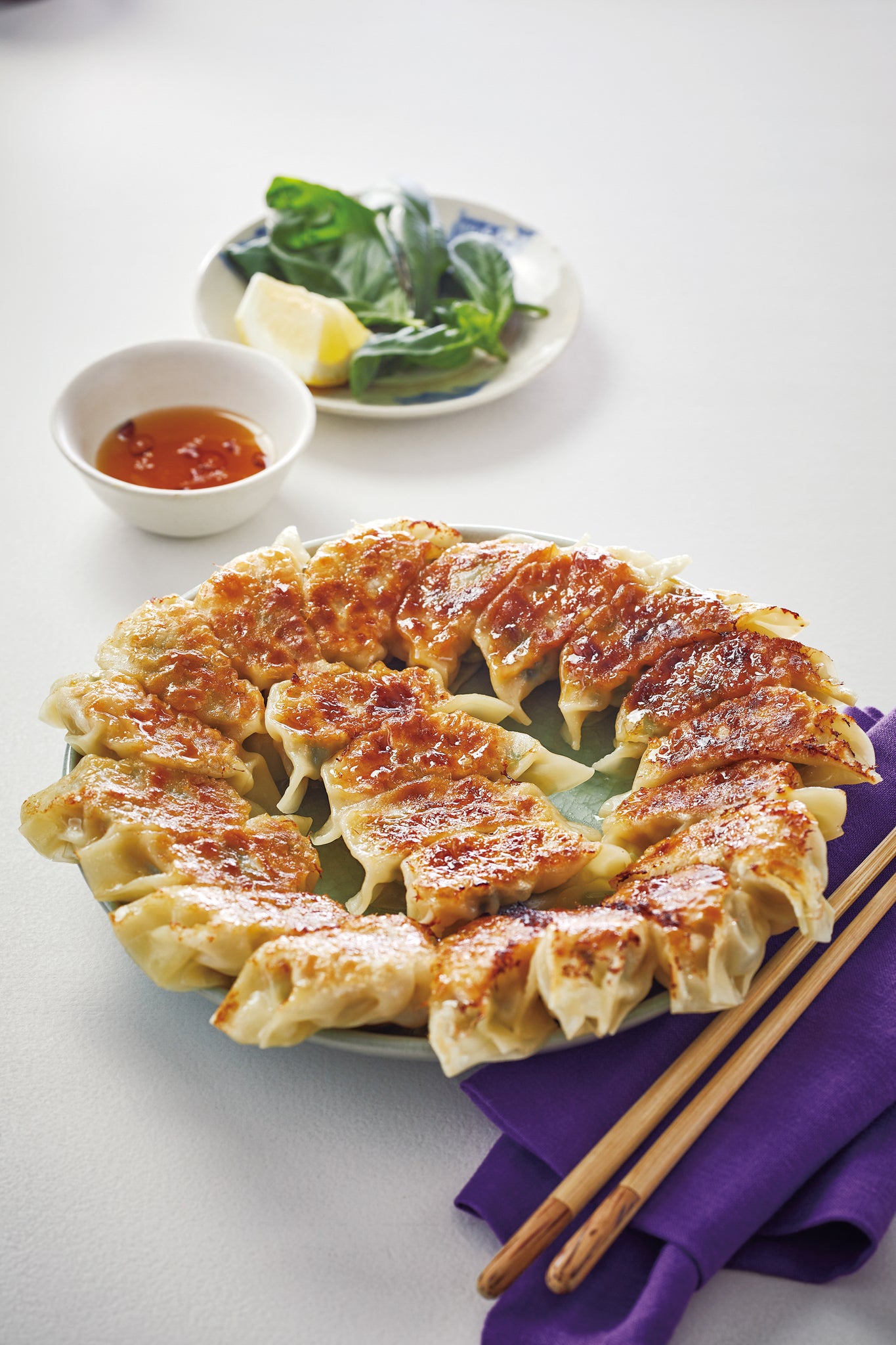 Delicious Dumplings