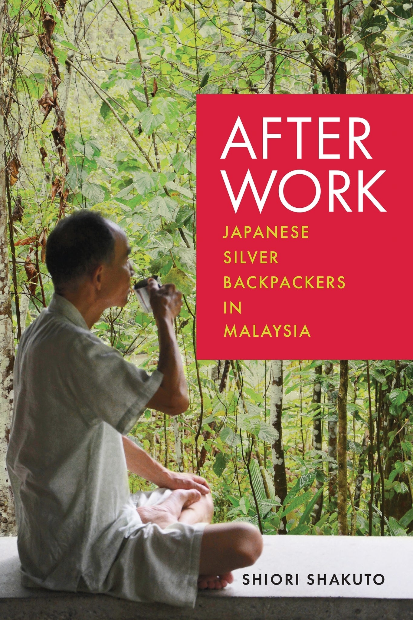 Cover image for After Work ISBN 9781512827101