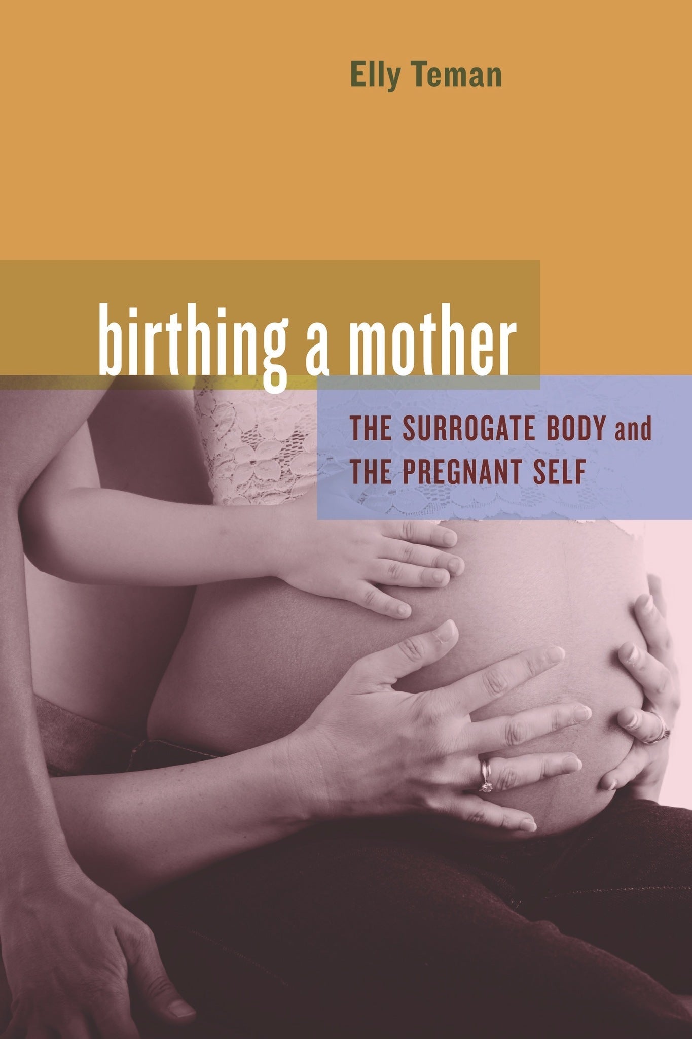 Cover image for Birthing a Mother ISBN 9780520945852