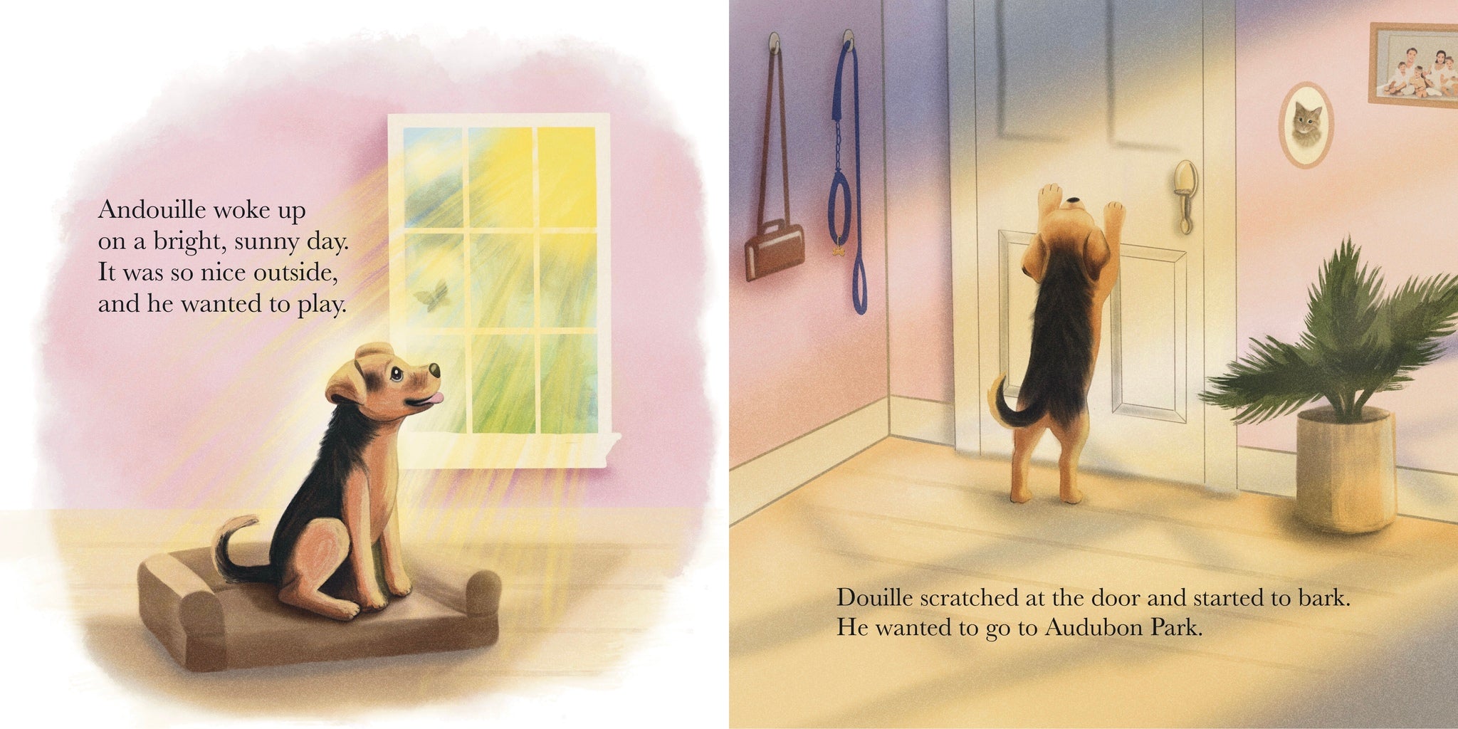 Cover image for The Adventures of Andouille ISBN 9798996384631