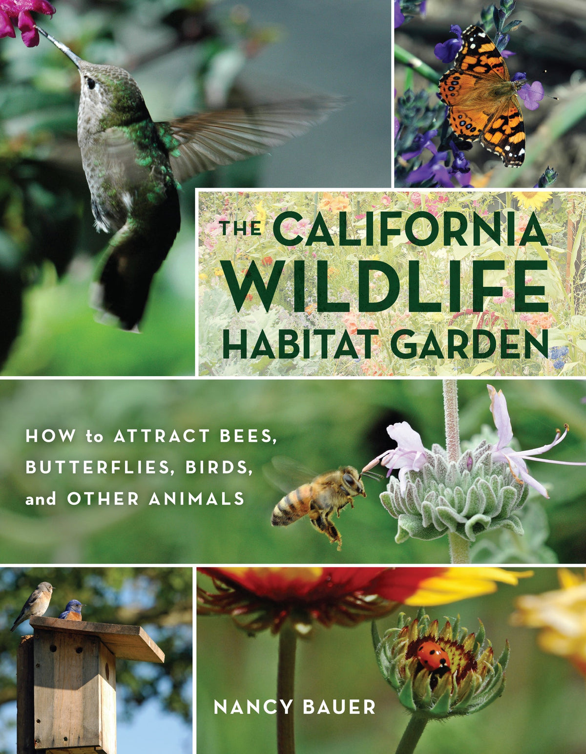 Cover image for The California Wildlife Habitat Garden ISBN 9780520953505