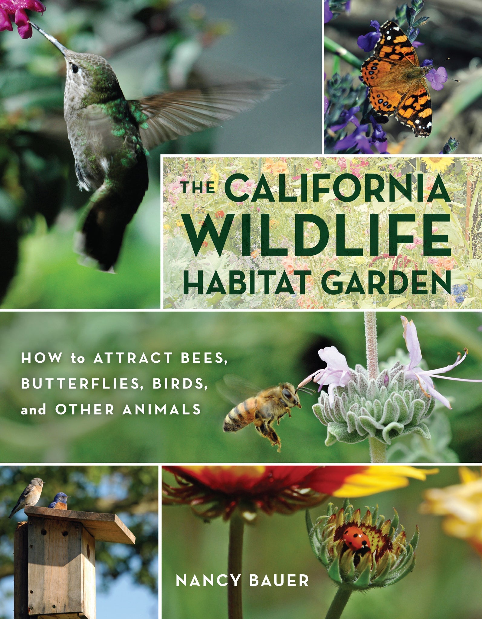 Cover image for The California Wildlife Habitat Garden ISBN 9780520953505