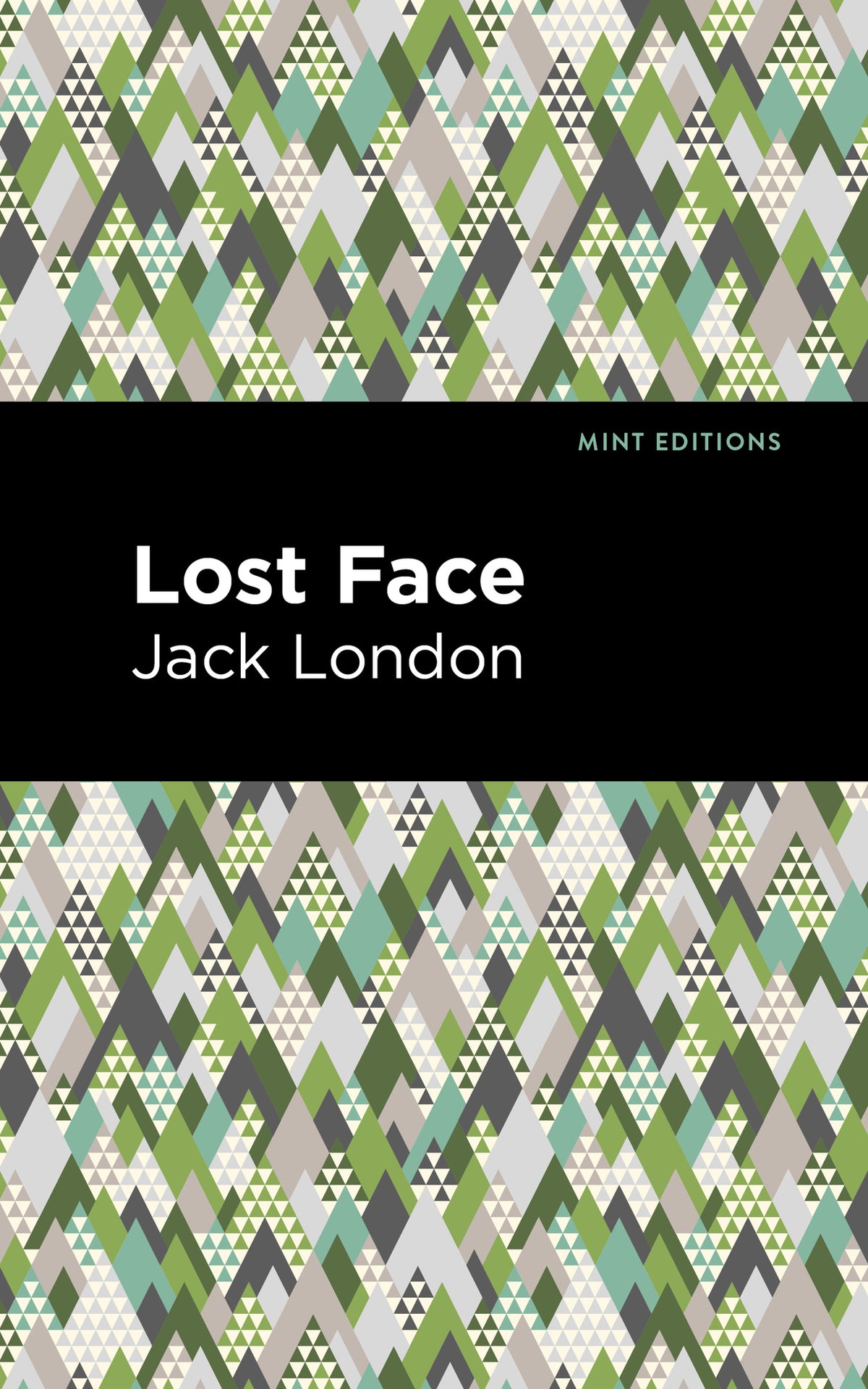 Cover image for Lost Face ISBN 9781513270135