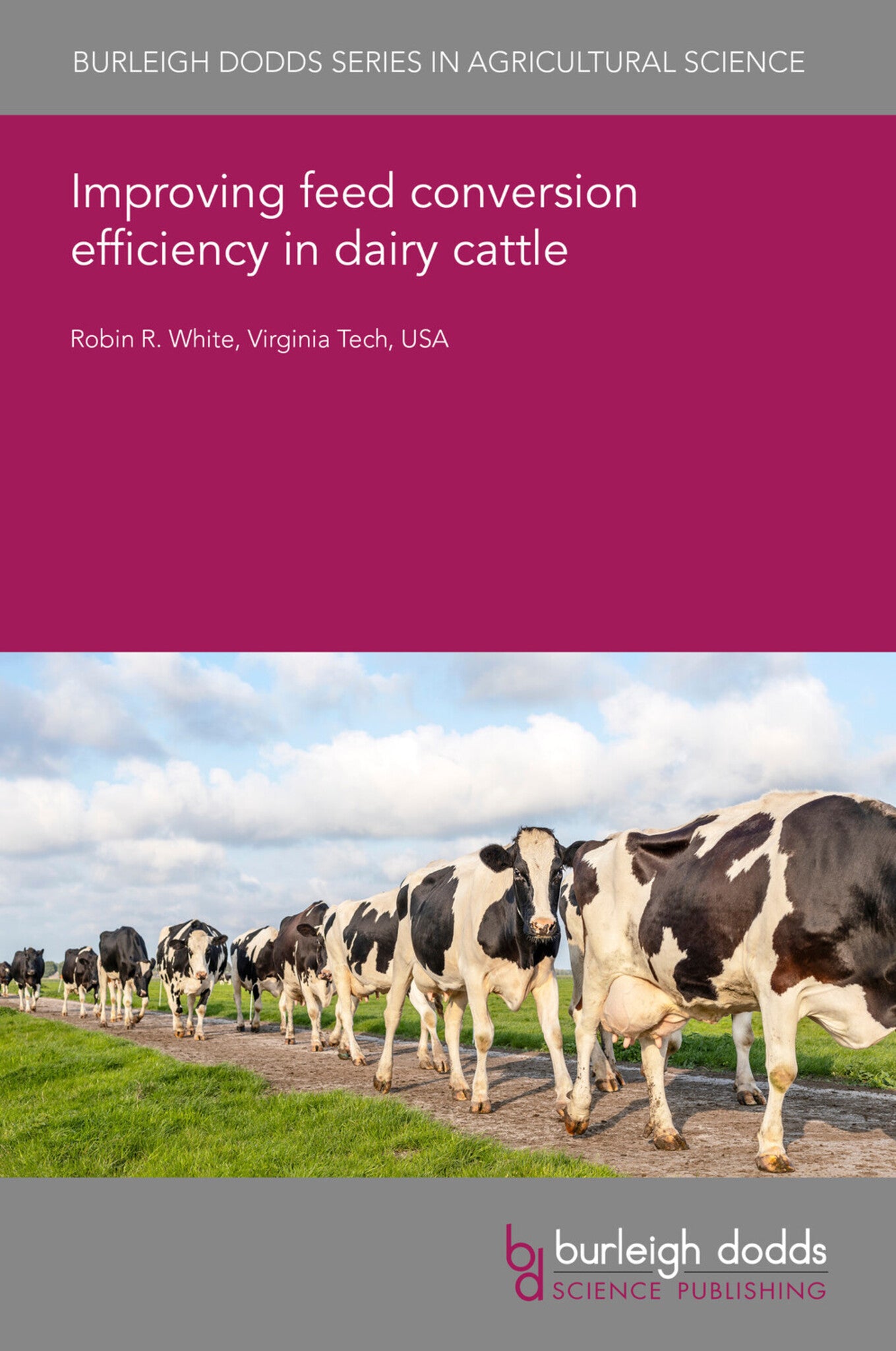 Cover image for Improving feed conversion efficiency in dairy cattle ISBN 9781835456729