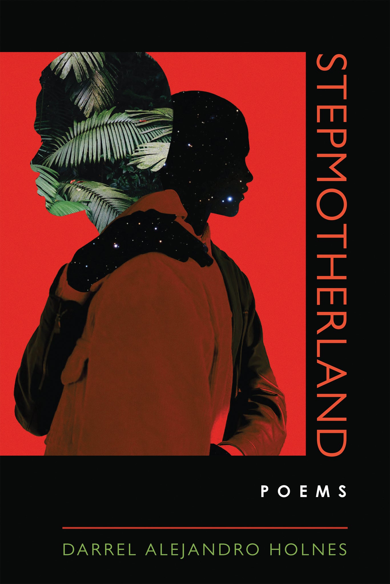 Cover image for Stepmotherland ISBN 9780268202156