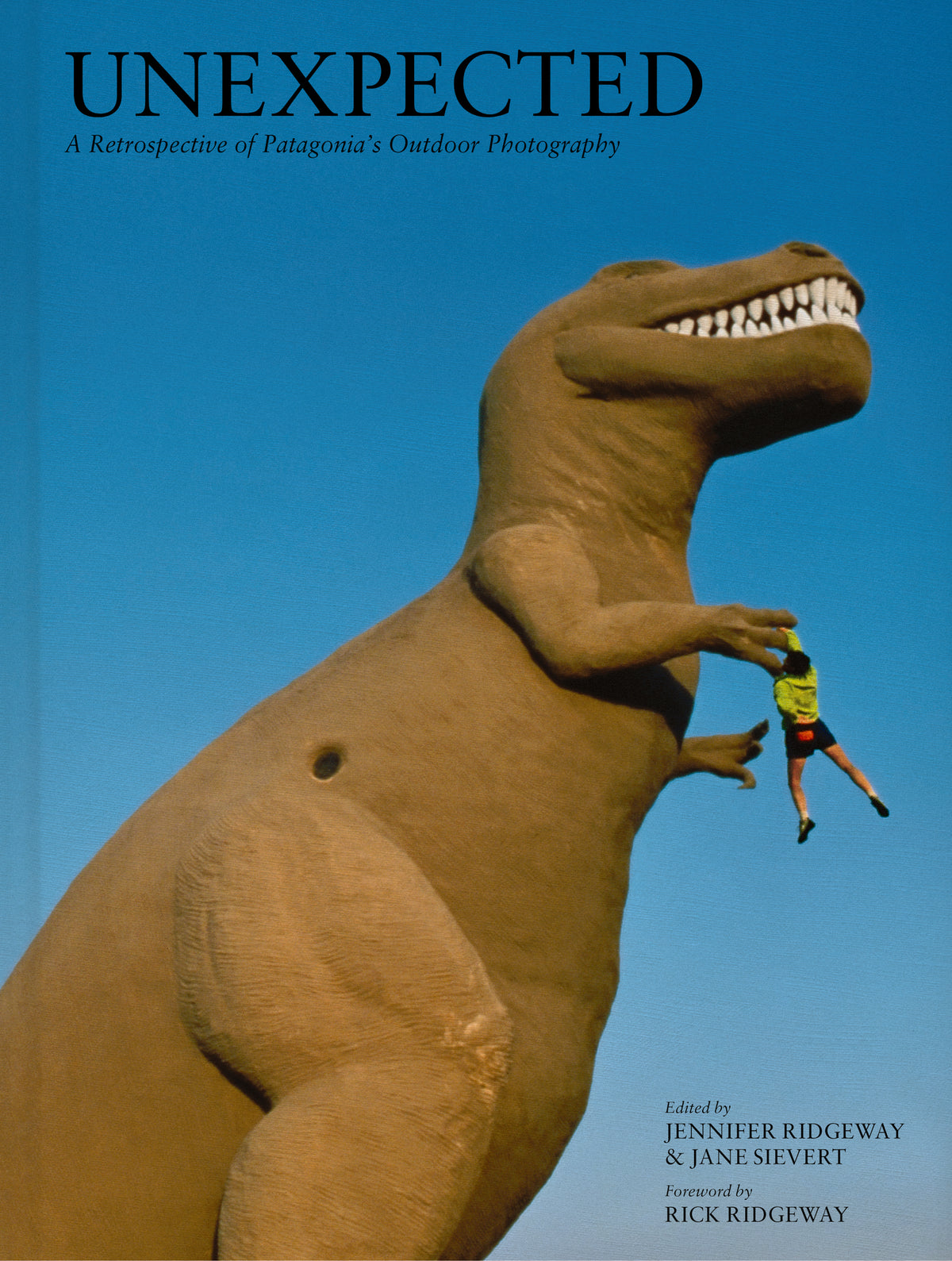 Cover image for UNEXPECTED ISBN 