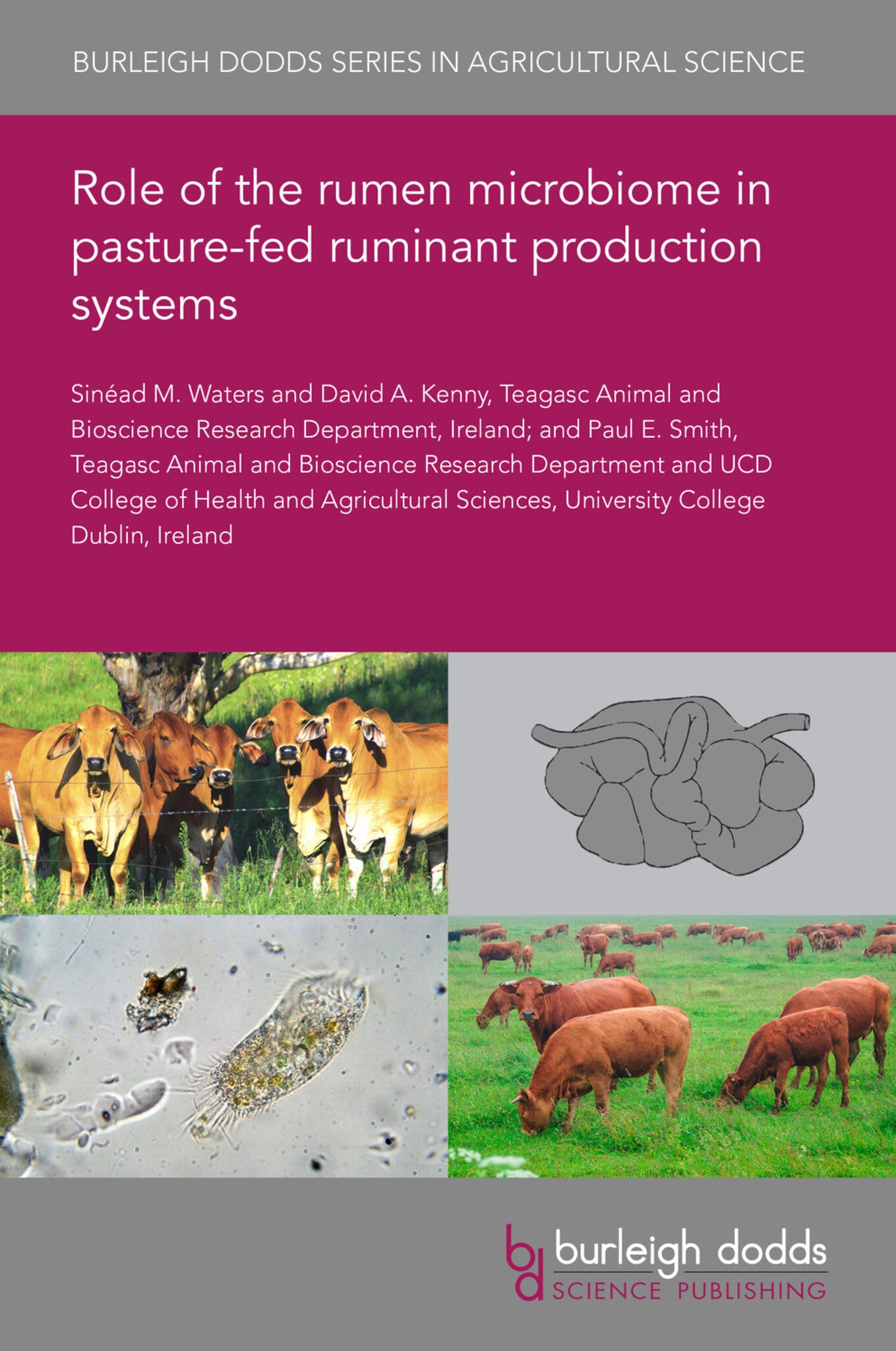 Cover image for Role of the rumen microbiome in pasture-fed ruminant production systems ISBN 9781786768070