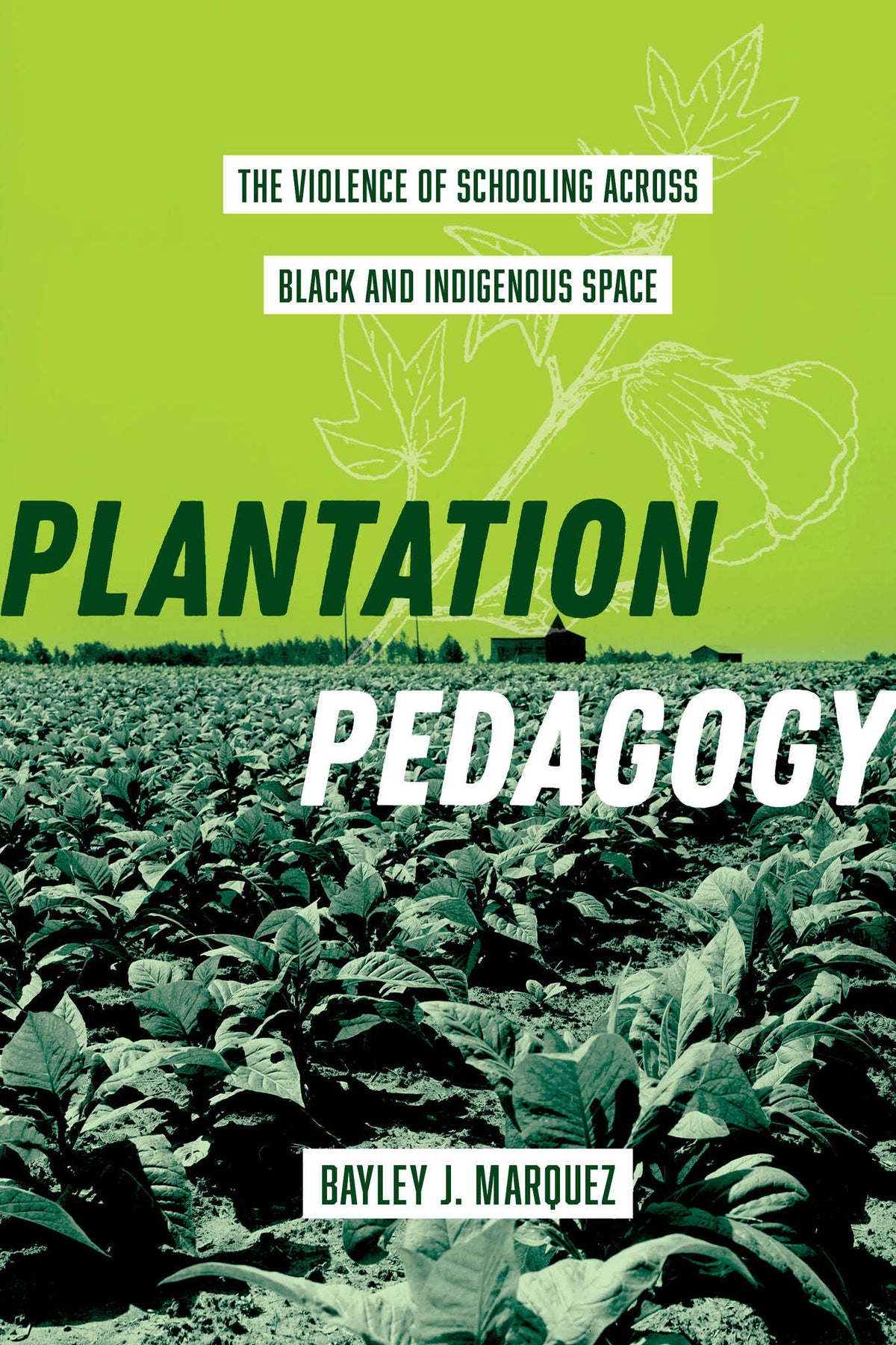 Cover image for Plantation Pedagogy ISBN 9780520393714