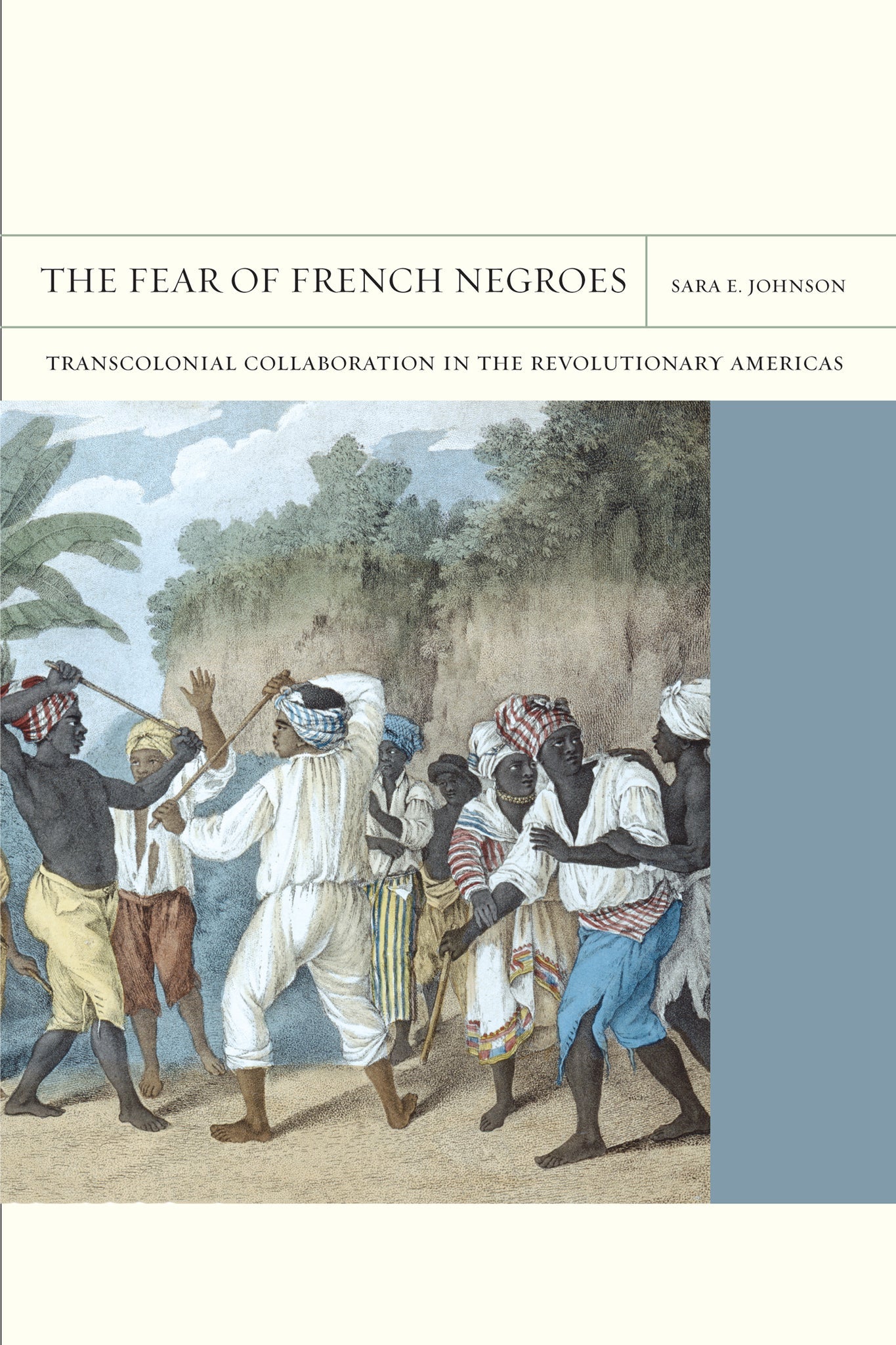 Cover image for The Fear of French Negroes ISBN 9780520953789