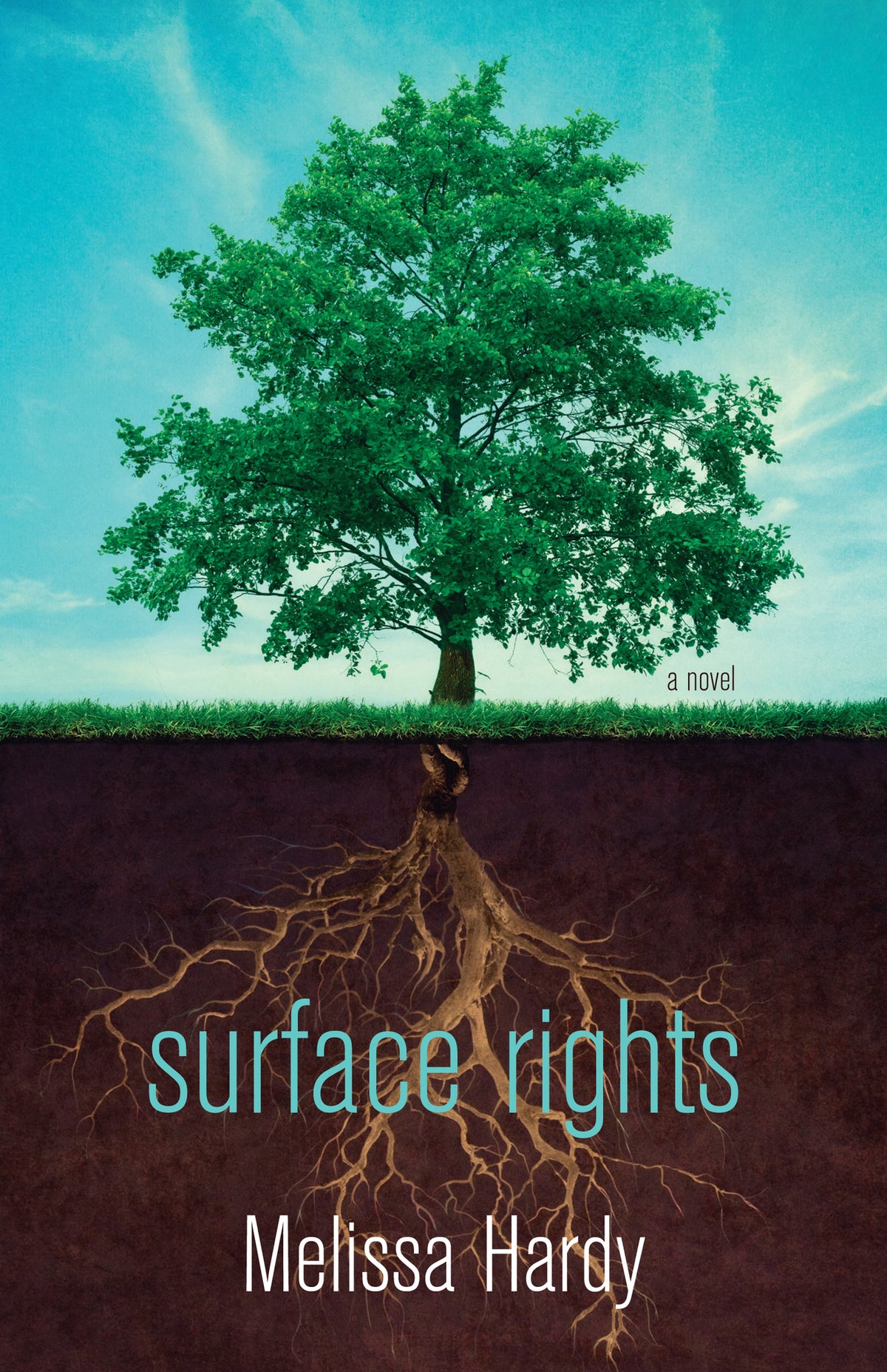 Cover image for Surface Rights ISBN 9781459707153