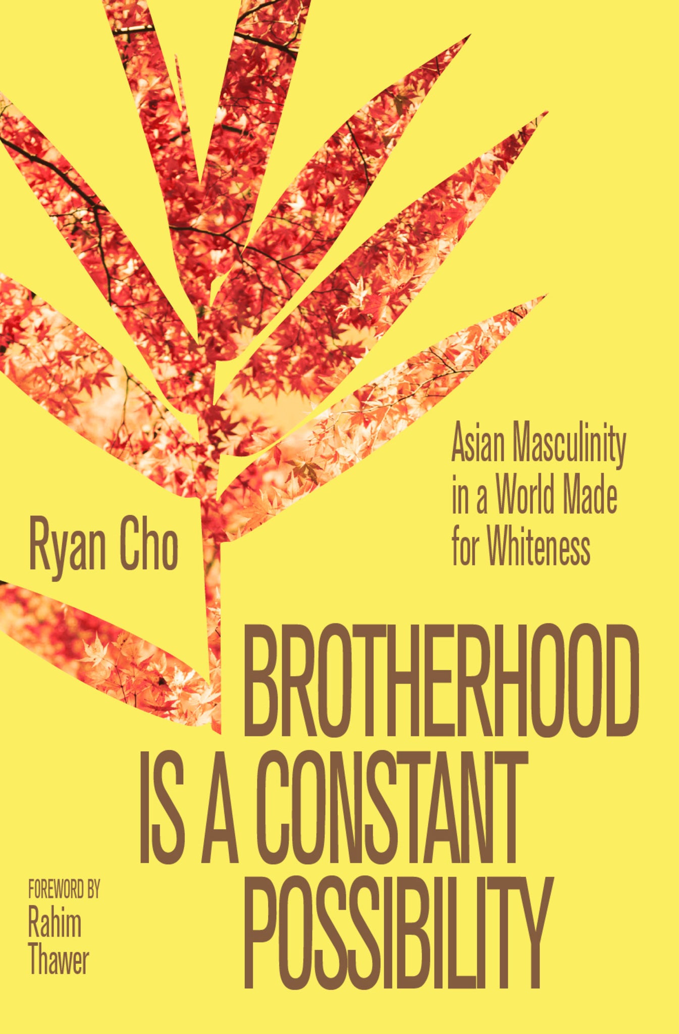 Brotherhood is a Constant Possibility