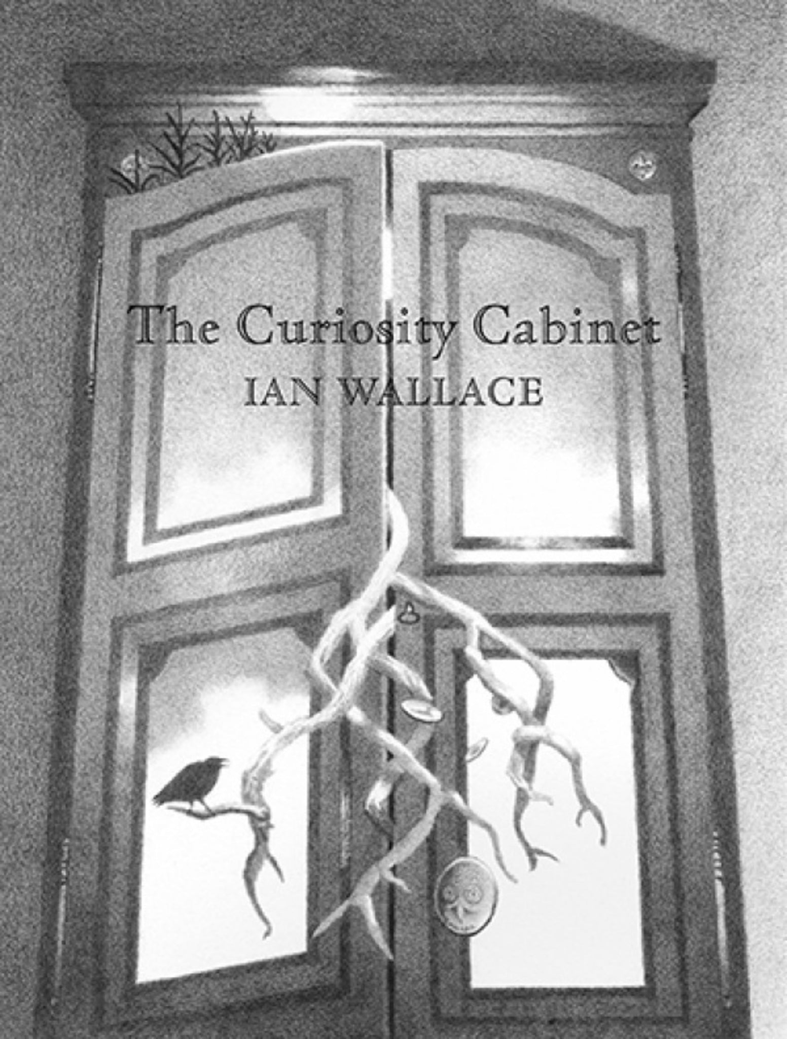 Cover image for The Curiosity Cabinet ISBN 9781554989225