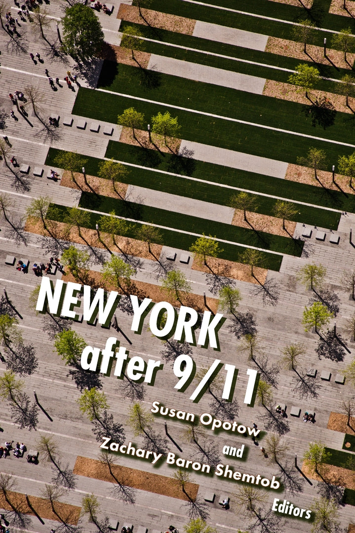 Cover image for New York After 9/11 ISBN 9780823281299