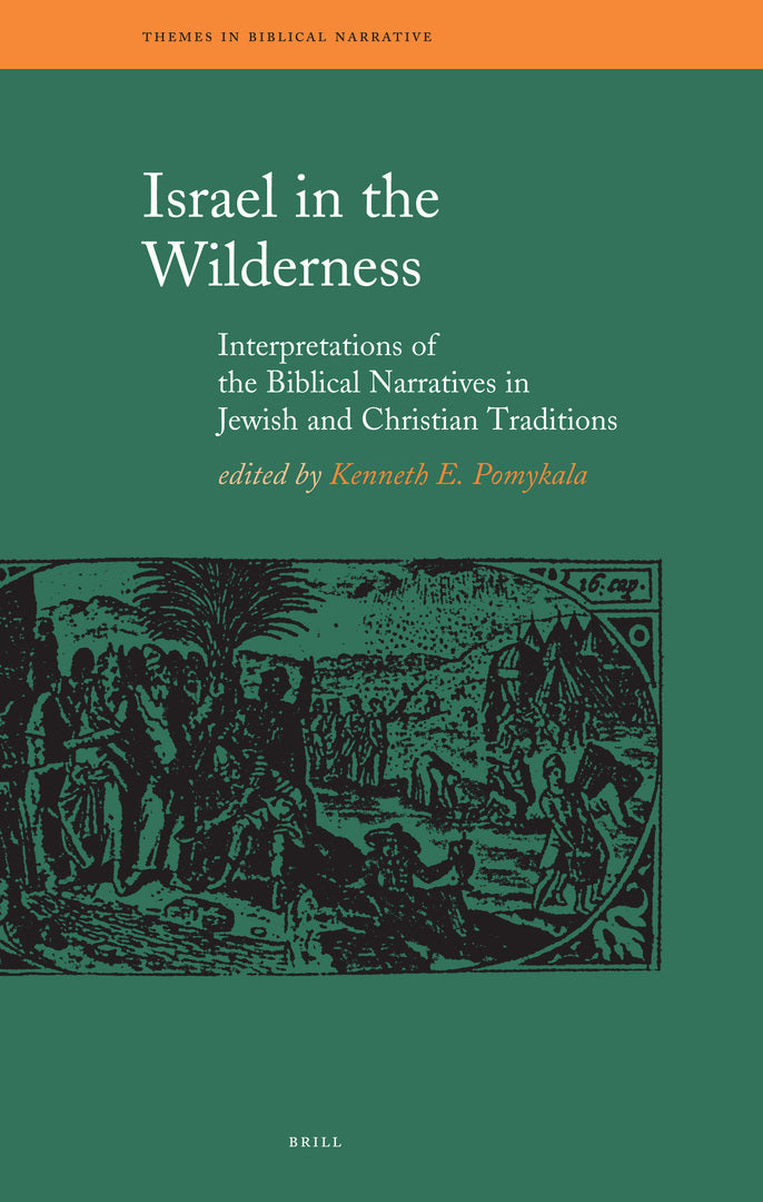 Cover image for Israel in the Wilderness ISBN 9789004164246