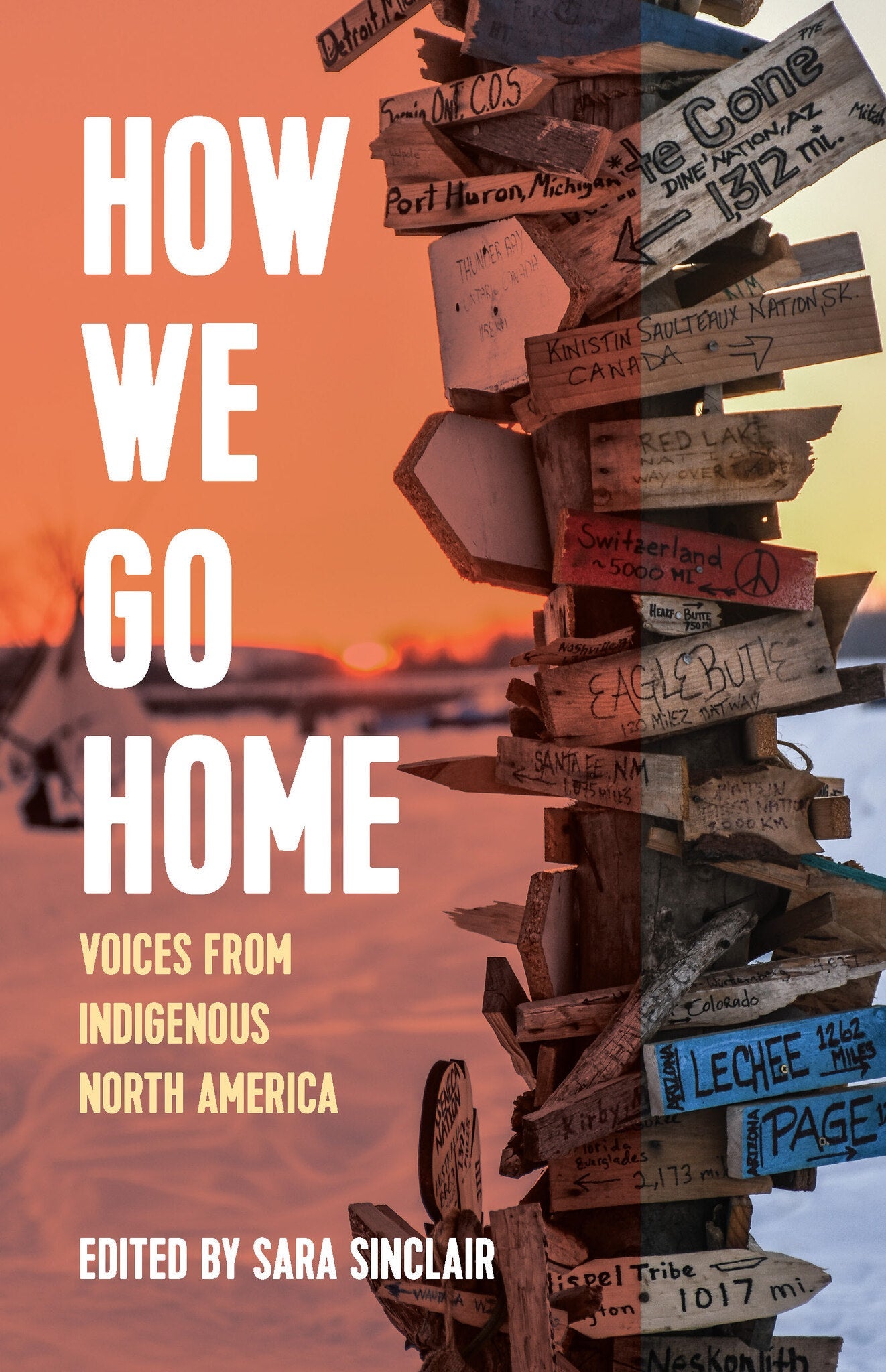Cover image for How We Go Home ISBN 9781642594089
