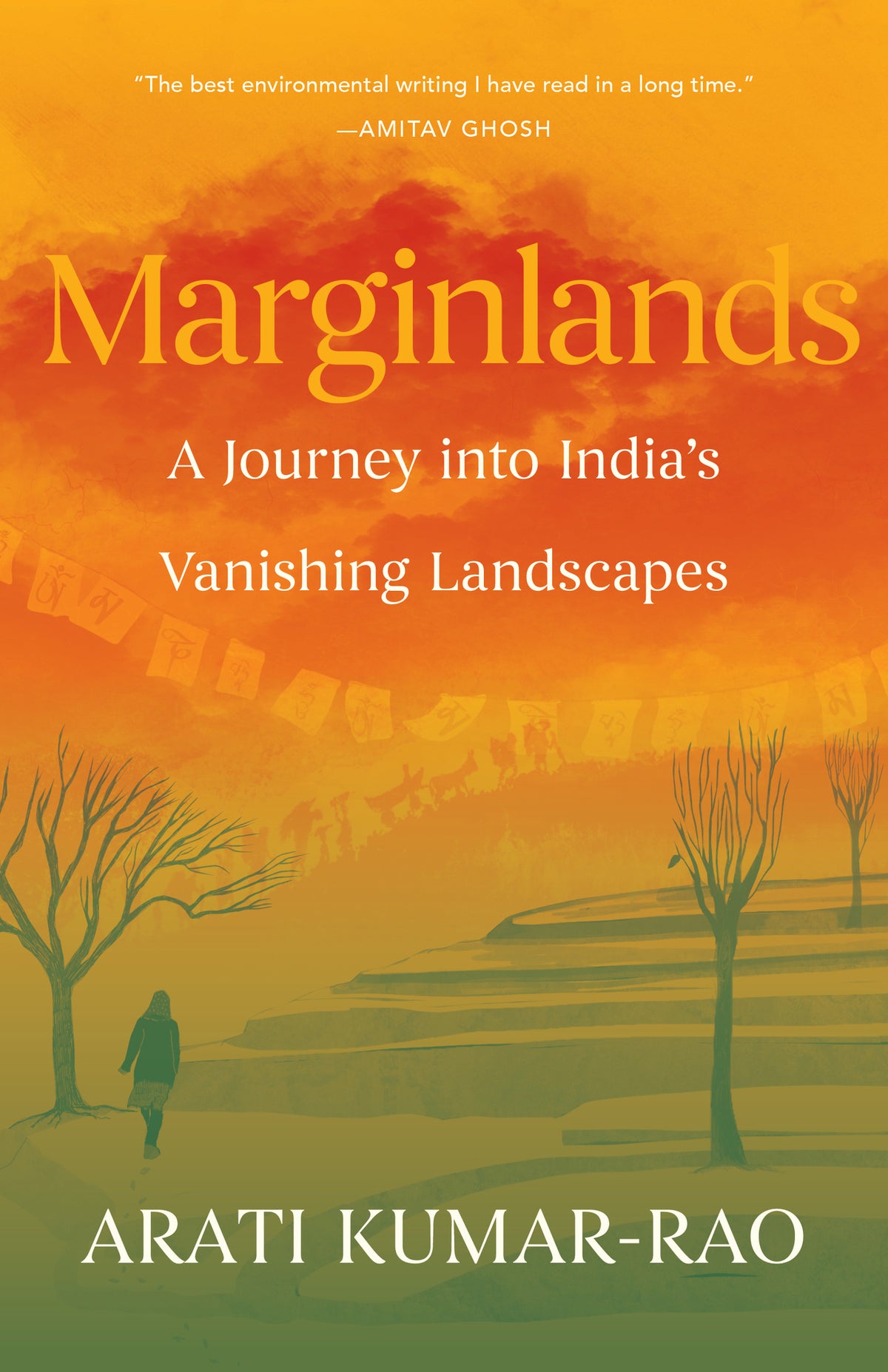 Cover image for Marginlands ISBN 9781571315984