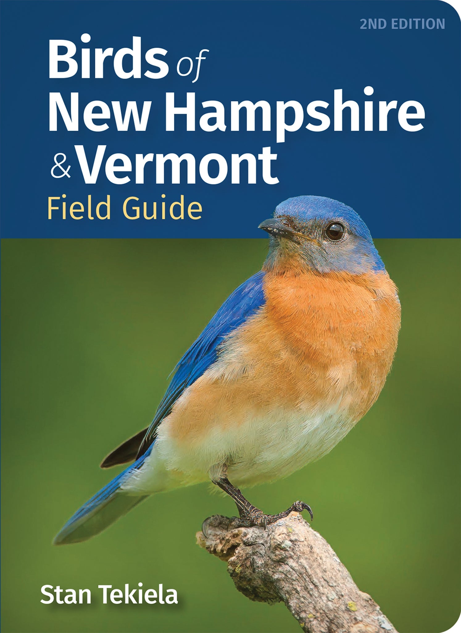 Cover image for Birds of New Hampshire & Vermont Field Guide ISBN 9781647556280