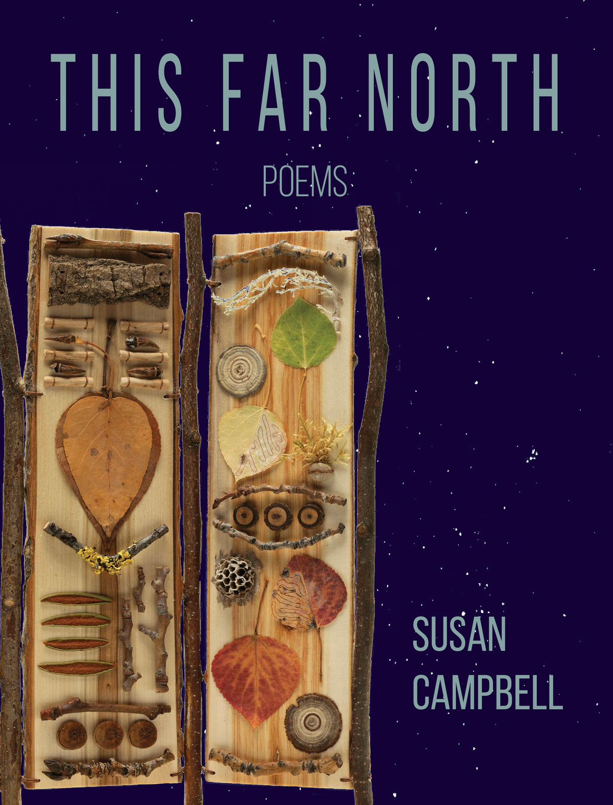 Cover image for This Far North ISBN 9781597099493