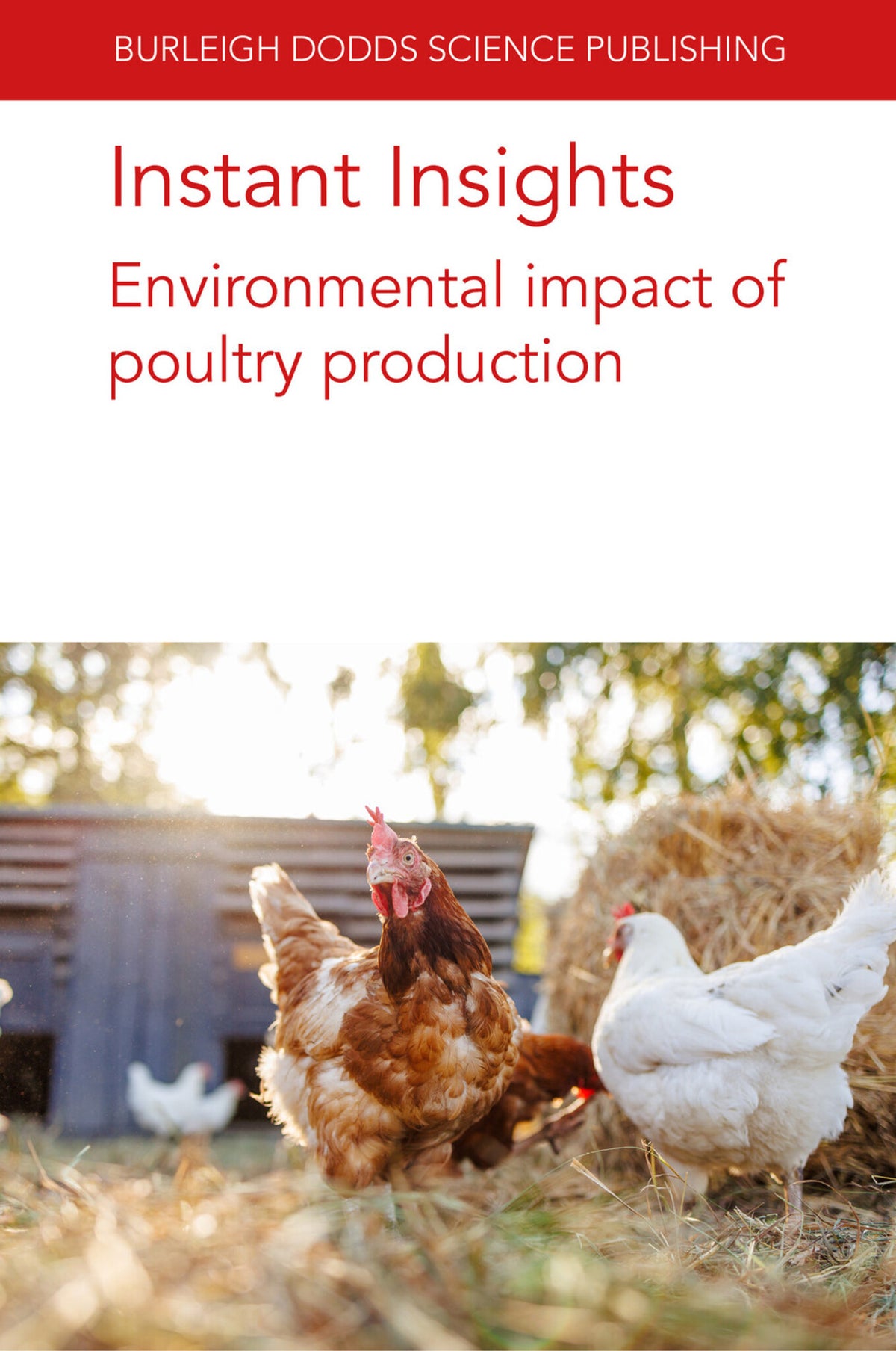 Instant Insights: Environmental impact of poultry production