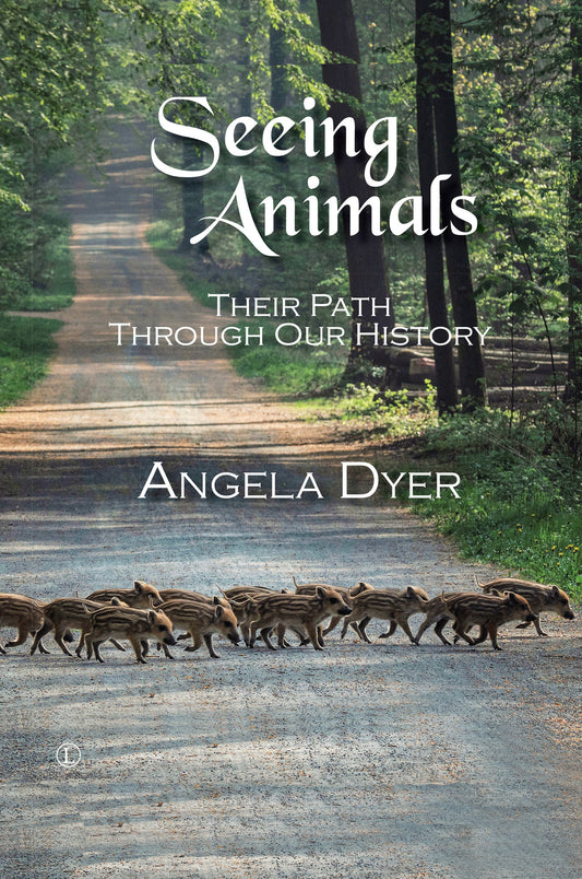 Seeing Animals