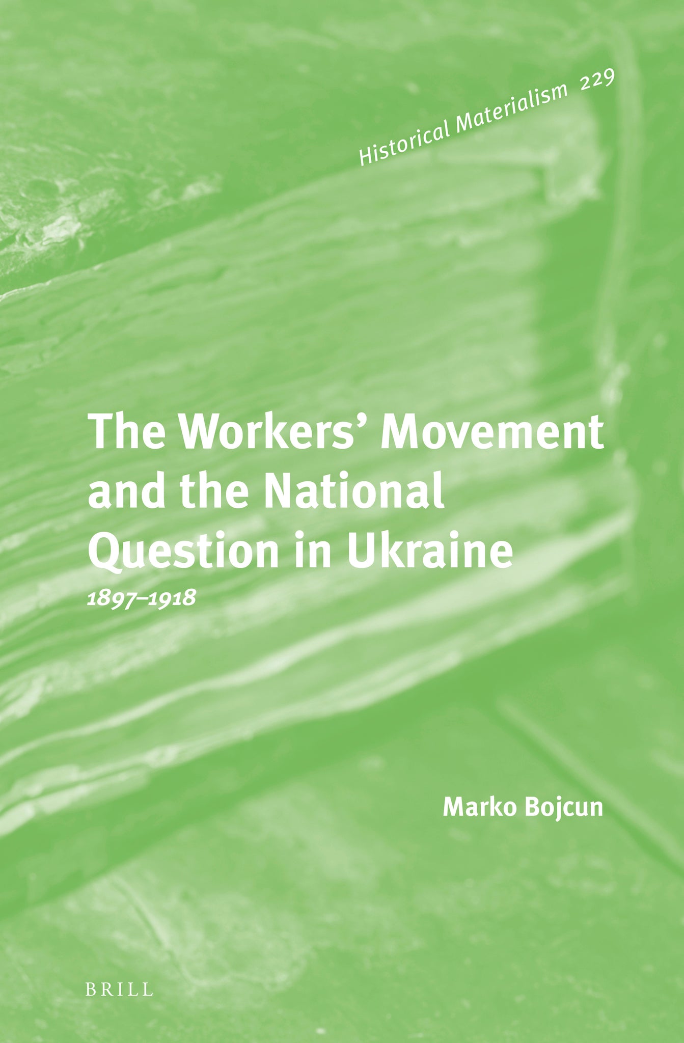 Cover image for The Workers’ Movement and the National Question in Ukraine ISBN 9789004223707