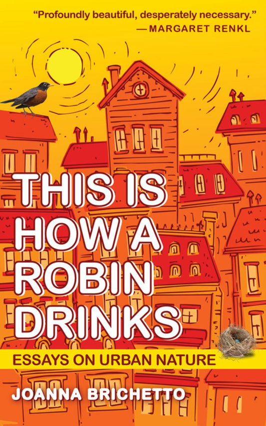 This Is How a Robin Drinks