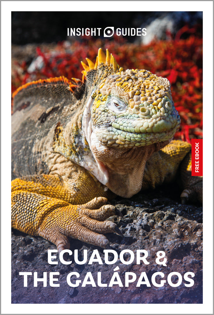 Cover image for Insight Guides Ecuador and the Galapagos: Travel Guide with eBook ISBN 9781839055195