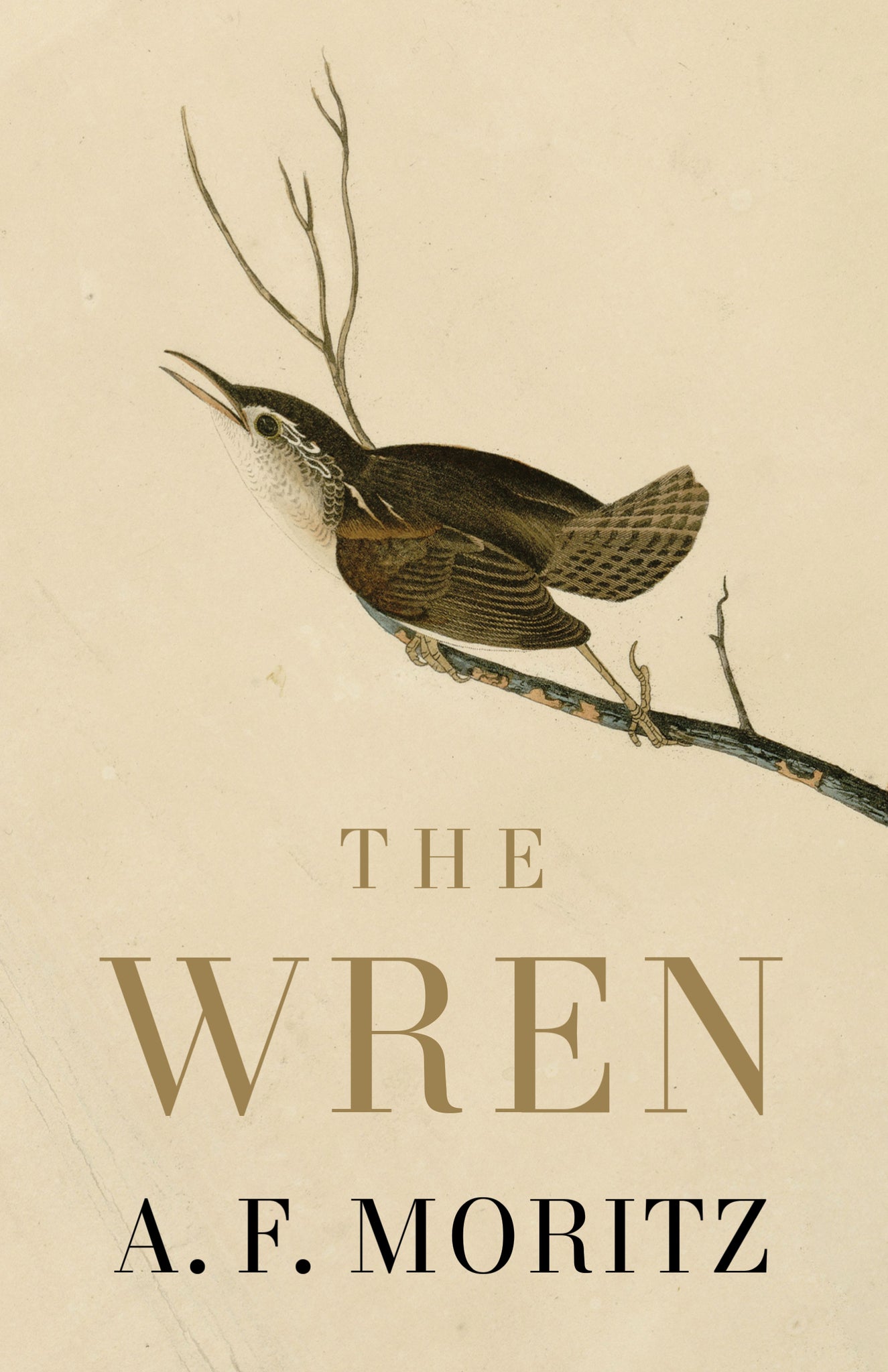 Cover image for The Wren ISBN 9781487014049