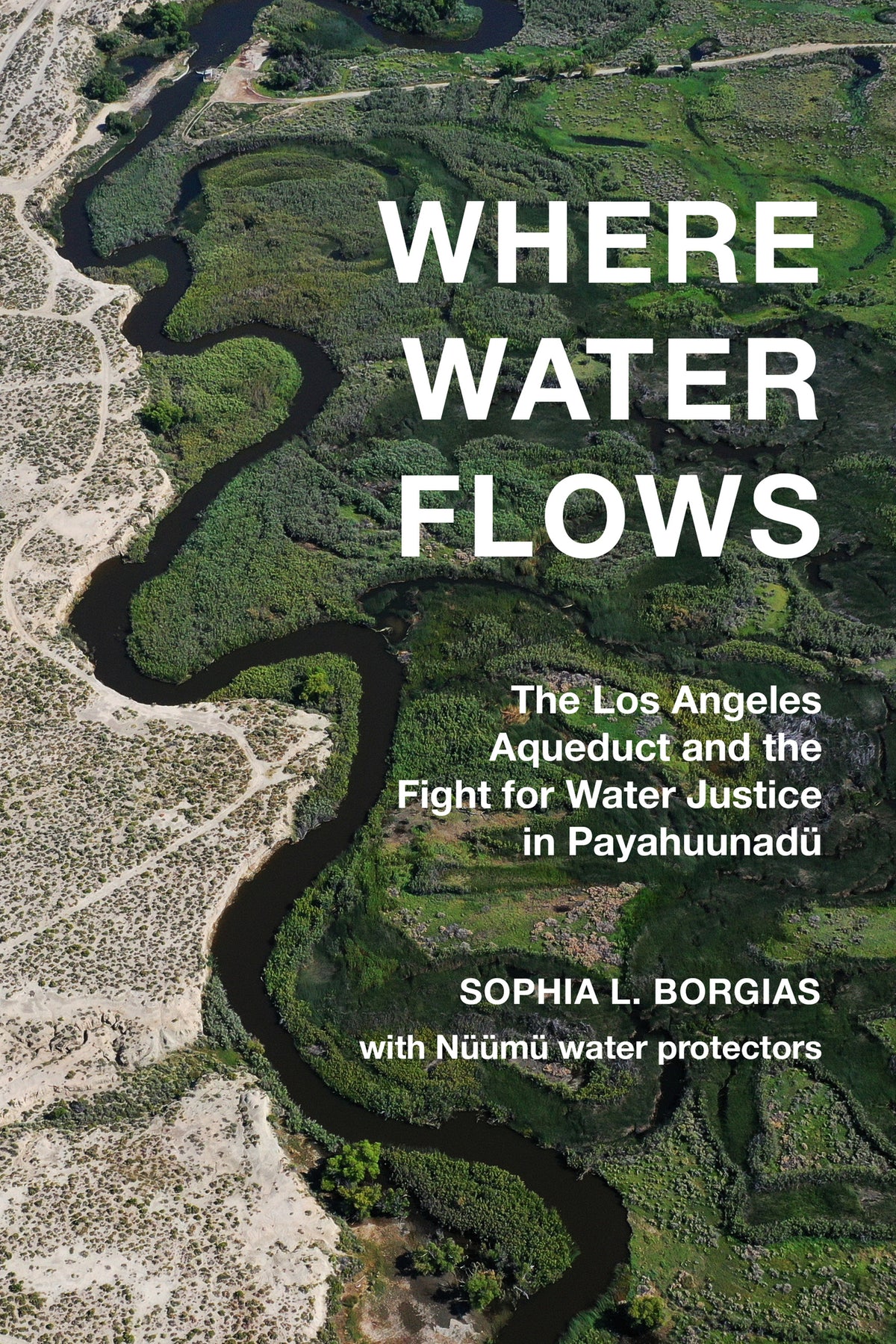 Cover image for Where Water Flows ISBN 9780520429116