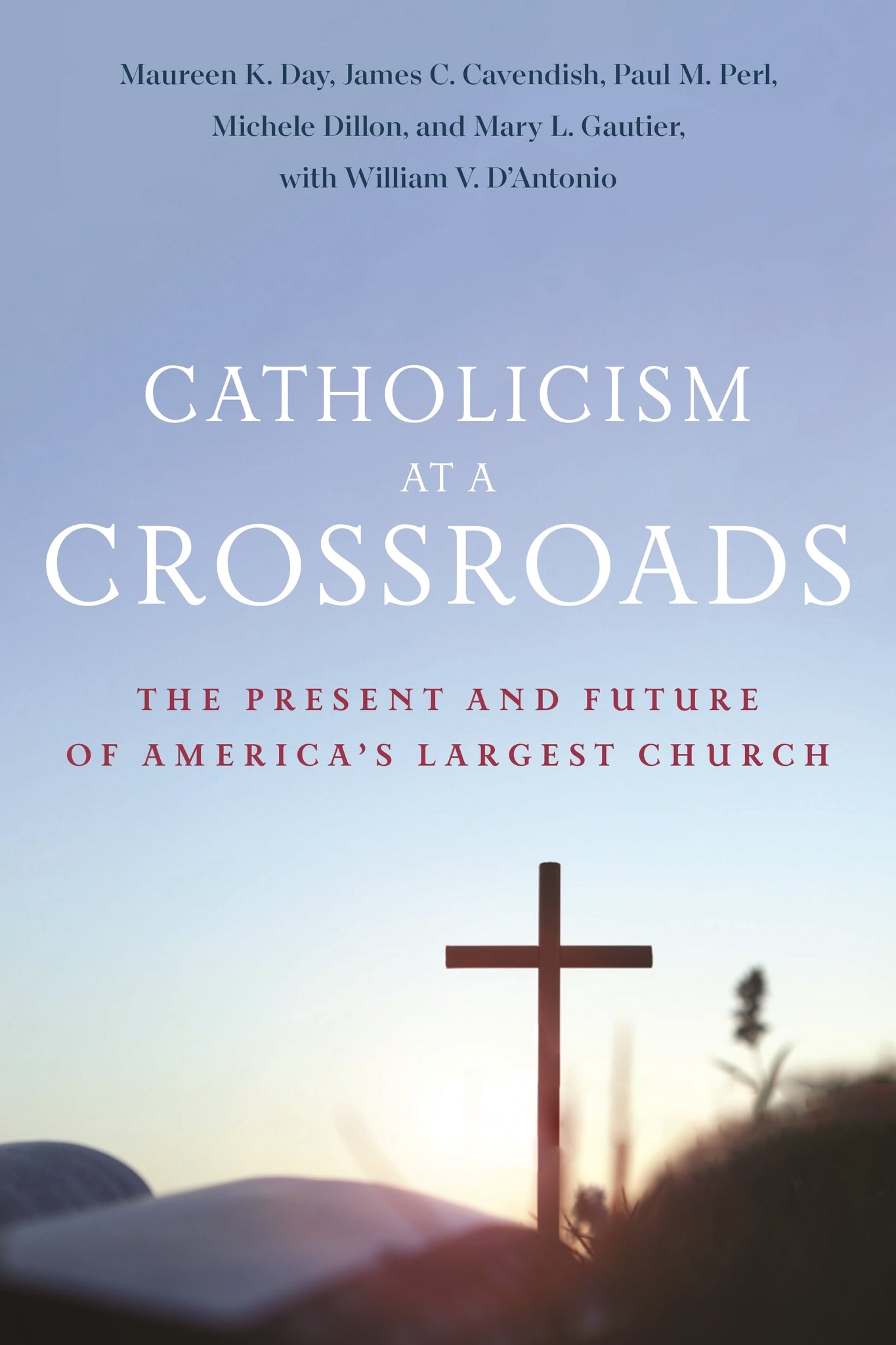 Cover image for Catholicism at a Crossroads ISBN 9781479832194