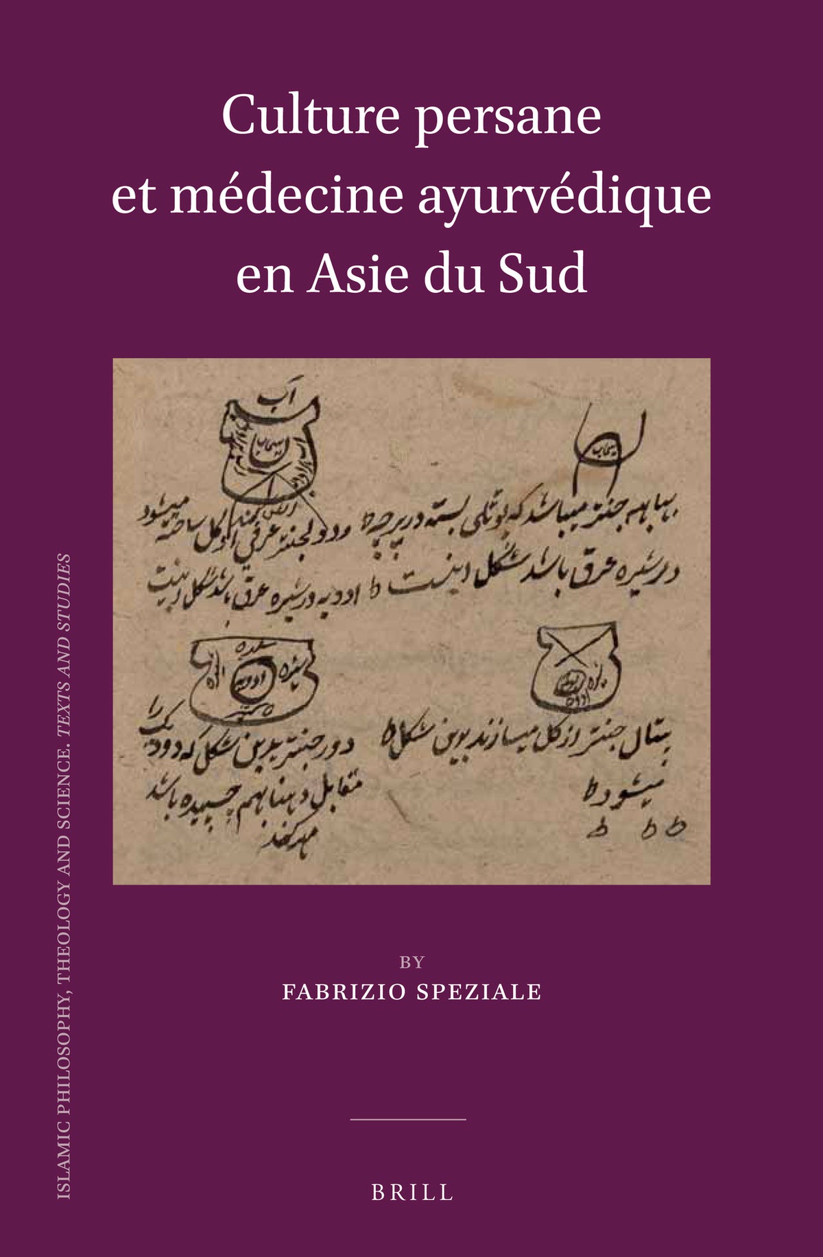 Cover image for Culture persane et médecine ayurvédique en Asie du Sud ISBN 9789004352759