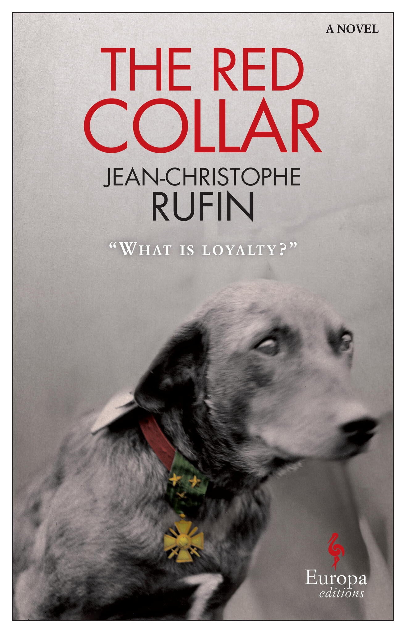 The Red Collar